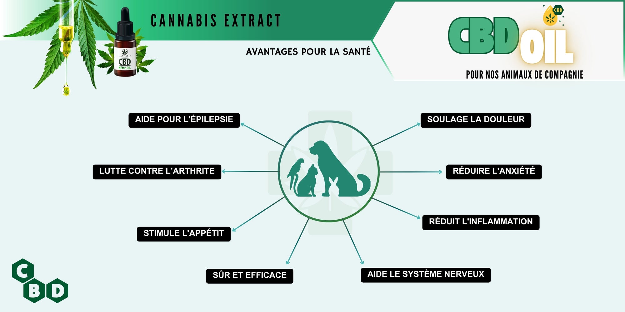 Le CBD pour les animaux : Une alternative naturelle 🐾