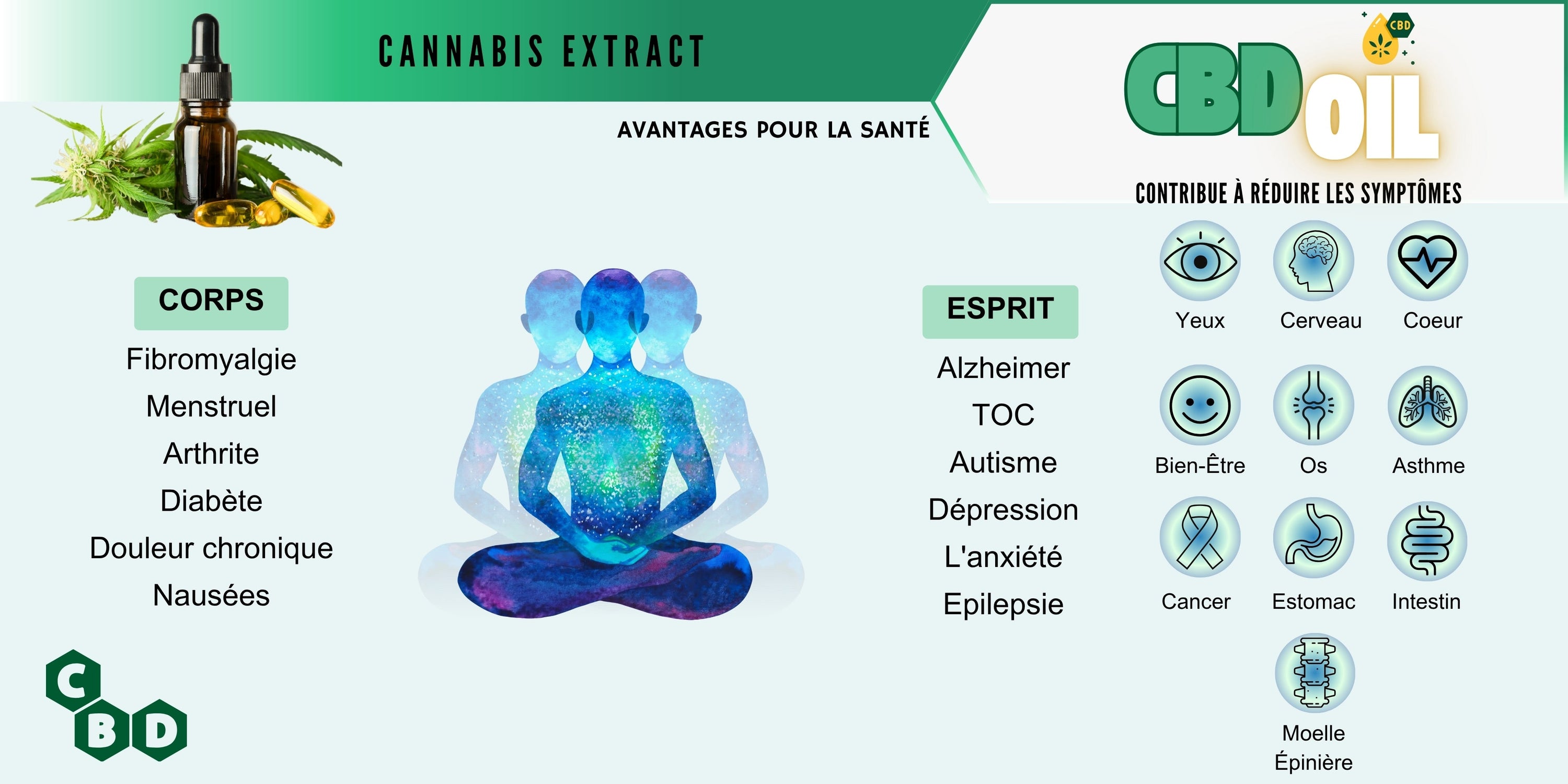 CBD et la Douleur : Une Alternative Naturelle 🤕