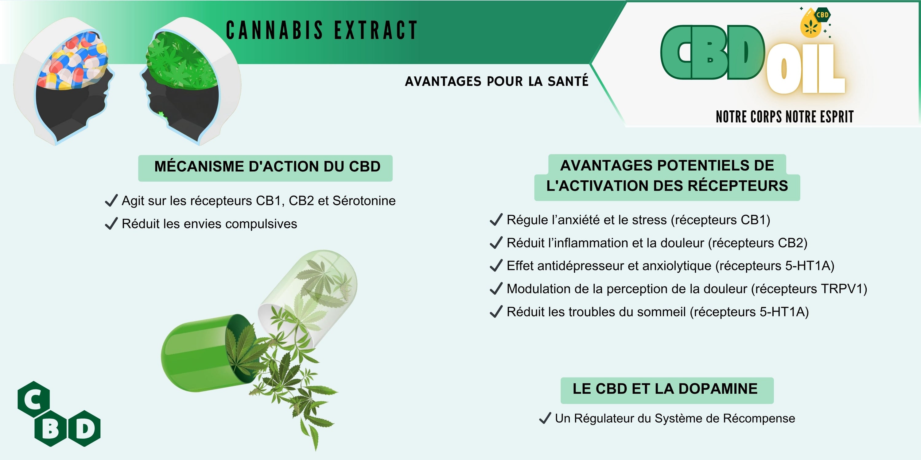 cbd effets positifs : Le CBD pour Soulager les Symptômes de Sevrage ? 🧑‍⚕️