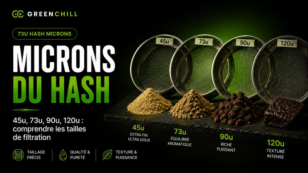 45u, 73u, 90u, 120u: comprendere i micron dell'hashish