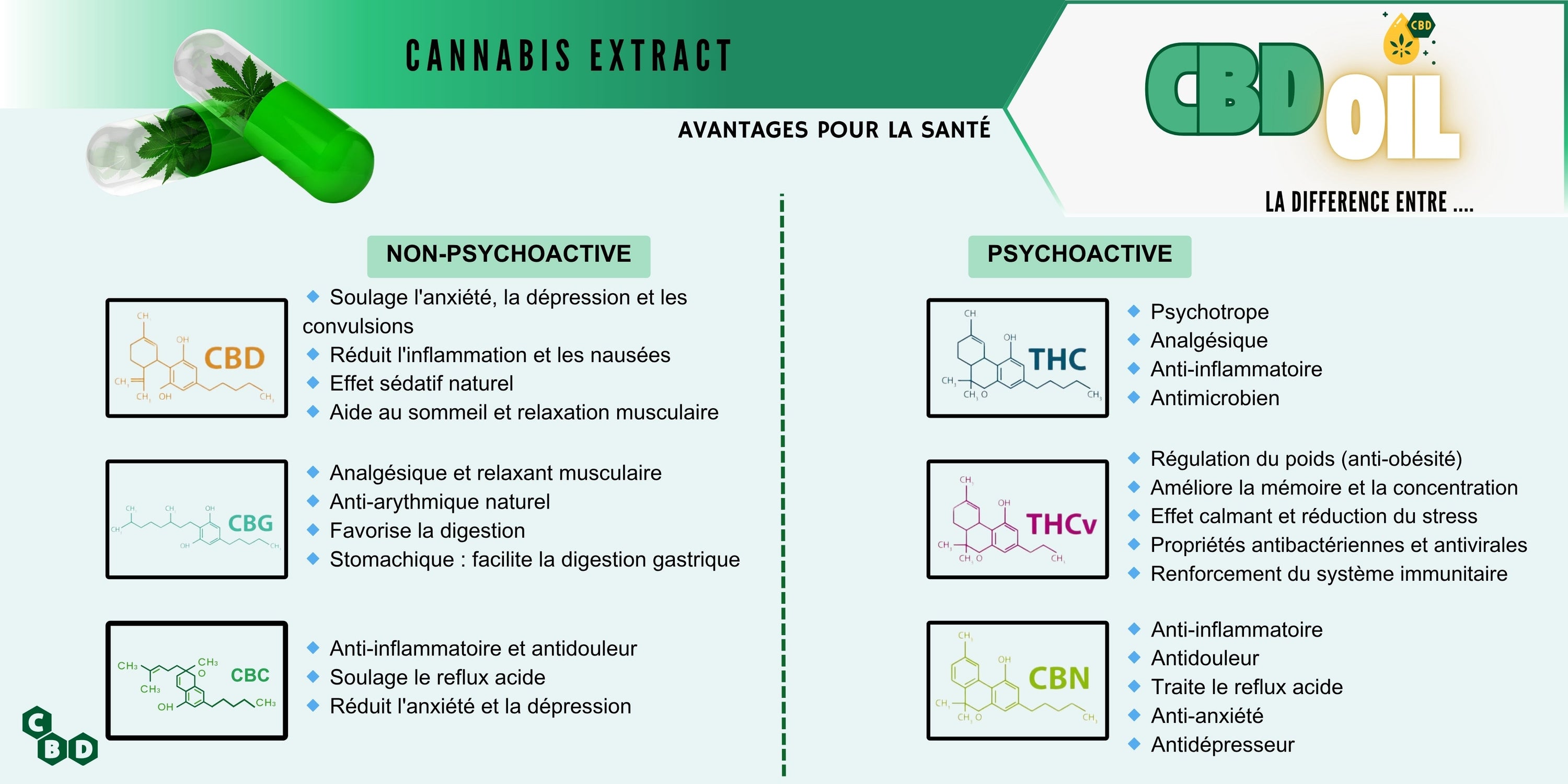 Les Différents Cannabinoides que l'ont trouve 🧬