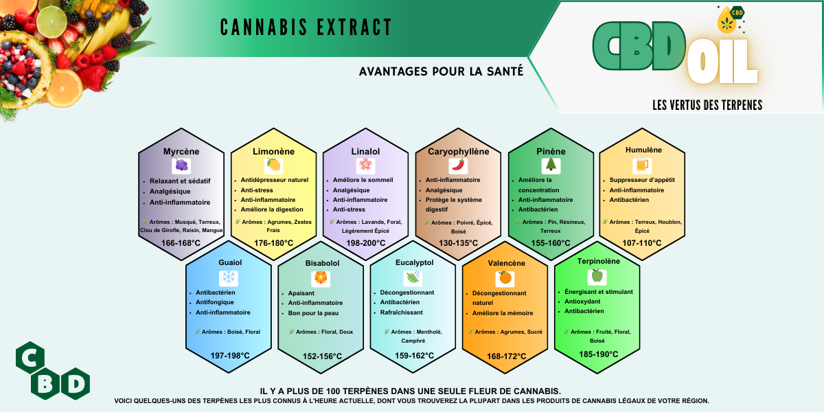terpenes weed