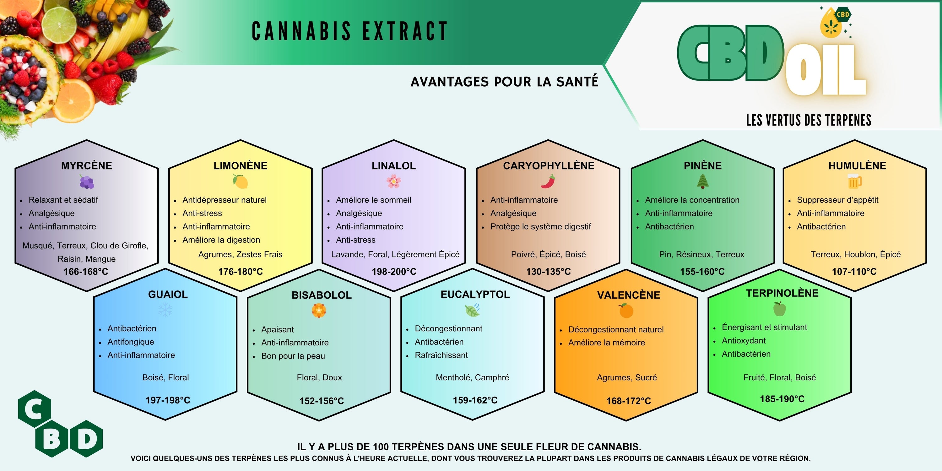 Les Terpenes du Cannabis : Rôle et Impact sur les Effets du CBD 📜