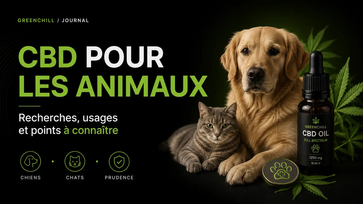 CBD pour les animaux : recherches, usages et points à connaître Greenchill SARL