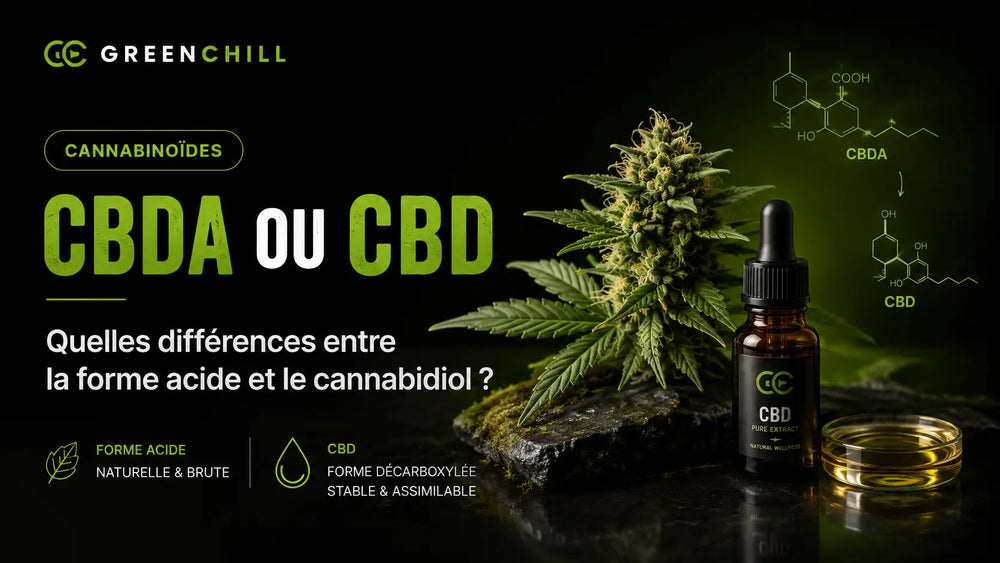 CBDa oder CBD: Unterschiede zwischen der Säureform und Cannabidiol