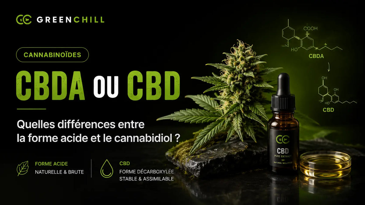 CBDa ou CBD : quelles différences entre la forme acide et le cannabidiol ?