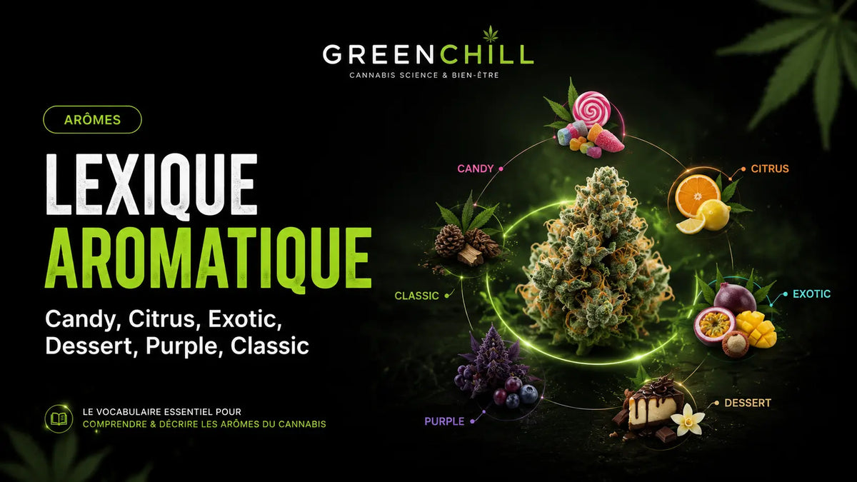 Candy, Citrus, Exotic, Dessert, Purple, Classic : le lexique aromatique GreenChill