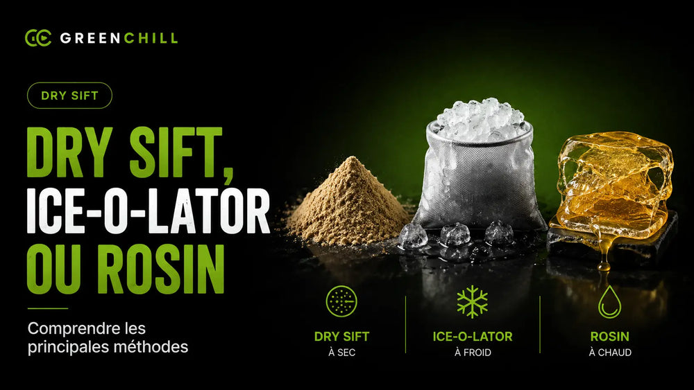 Dry Sift, Ice-O-Lator o Rosin: comprendere i principali metodi