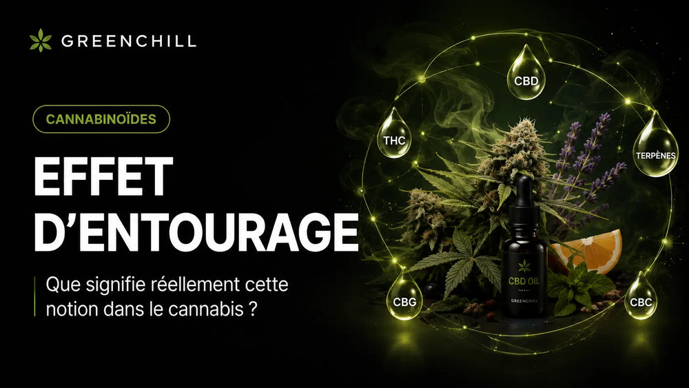 Entourage-Effekt: Was bedeutet dieser Begriff bei Cannabis wirklich?