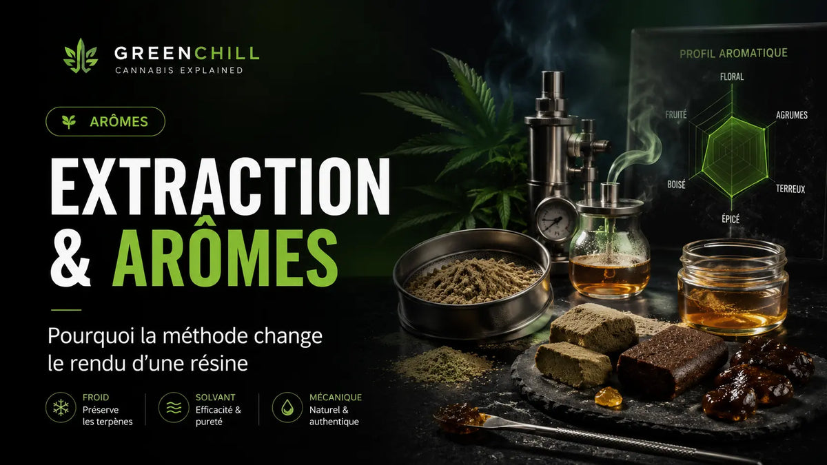 Extraction et profil aromatique : pourquoi la méthode change le rendu d’une résine