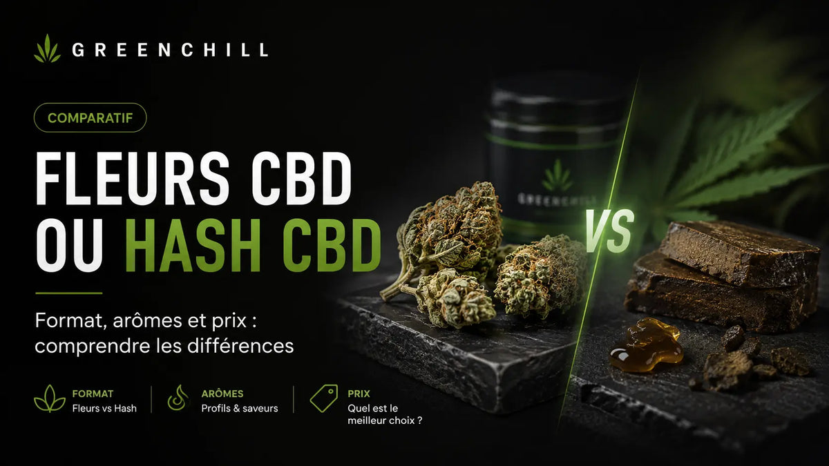 Fleurs CBD ou hash CBD : quelles différences de format, arômes et prix ?