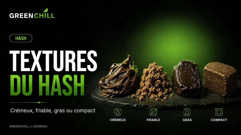 Hashish cremoso, friabile, oleoso o compatto: comprendere le consistenze