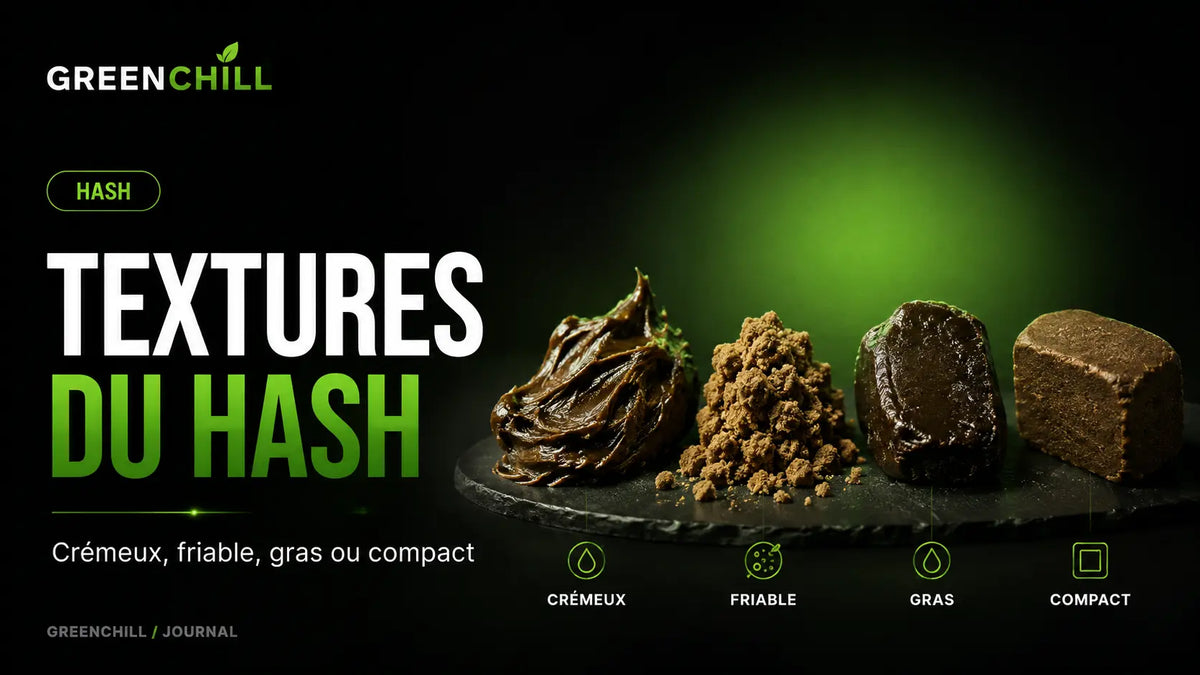 Hash crémeux, friable, gras ou compact : comprendre les textures