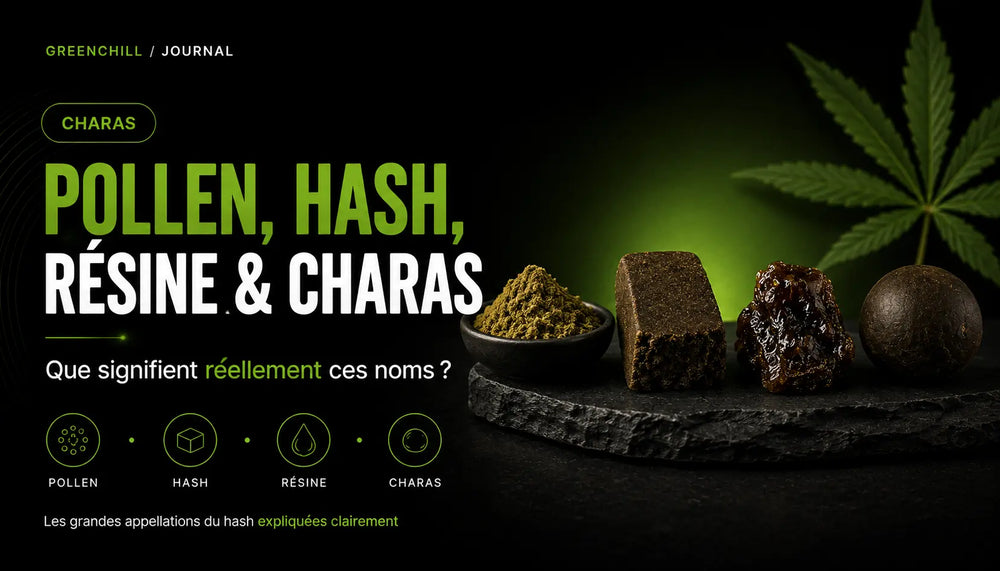 Polline, hashish, resina e charas: che cosa significano davvero questi nomi?