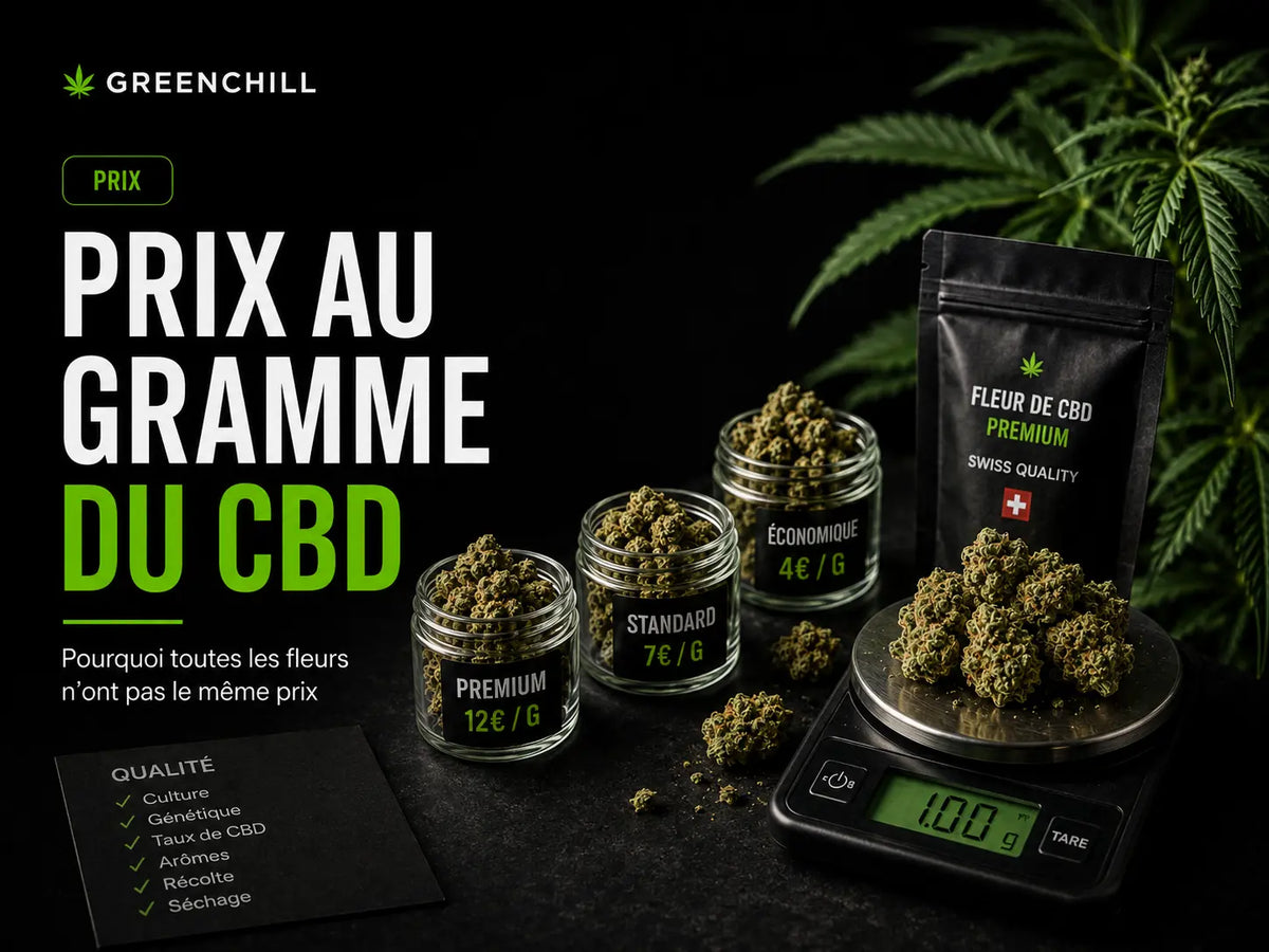 Prix au gramme du CBD : pourquoi les fleurs n’ont-elles pas toutes le même prix ?