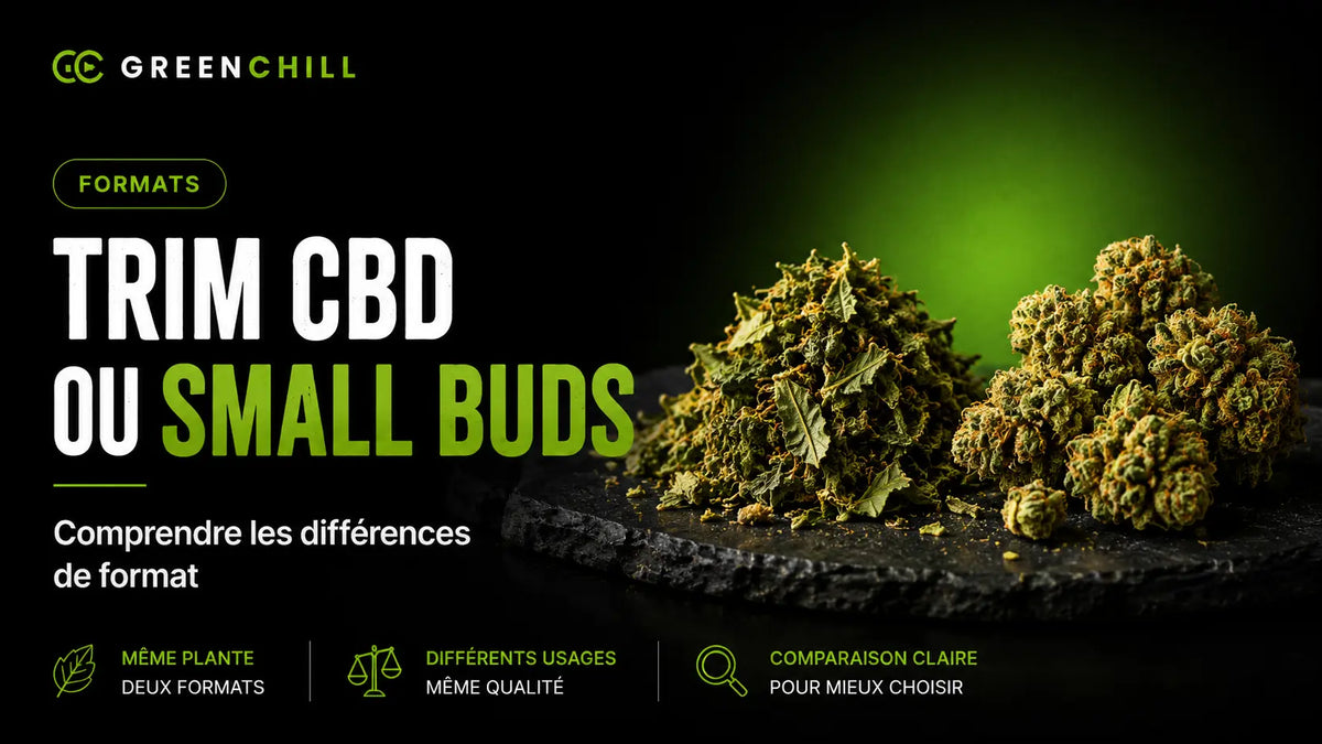 Trim CBD ou Small Buds : comprendre les différences de format