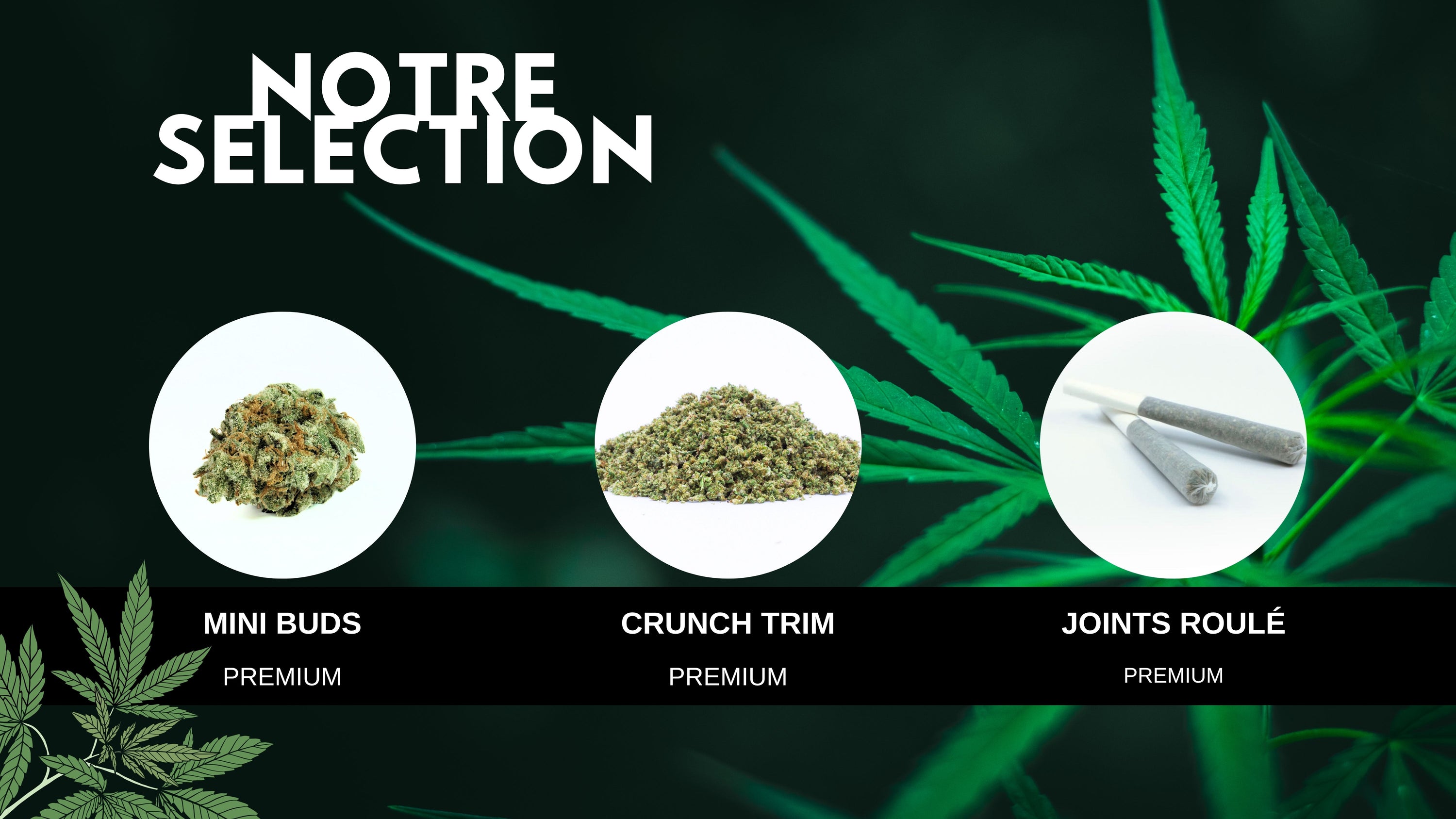 MINI-FLEURS & PRÉ-ROULÉS & CRUNCH TRIM Greenchill SARL