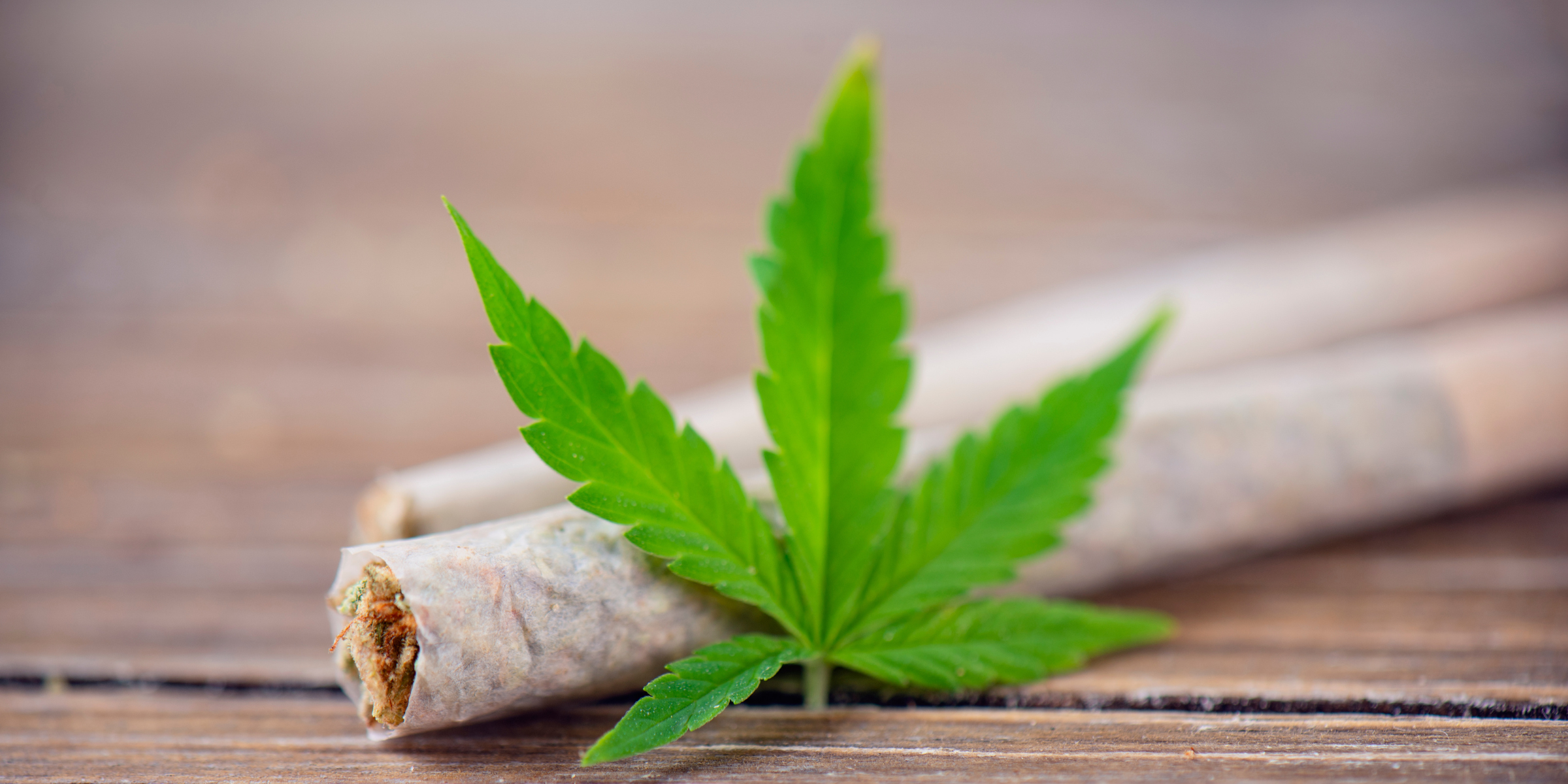JOINTS-ROULER-CBD-INDOOR Greenchill SARL