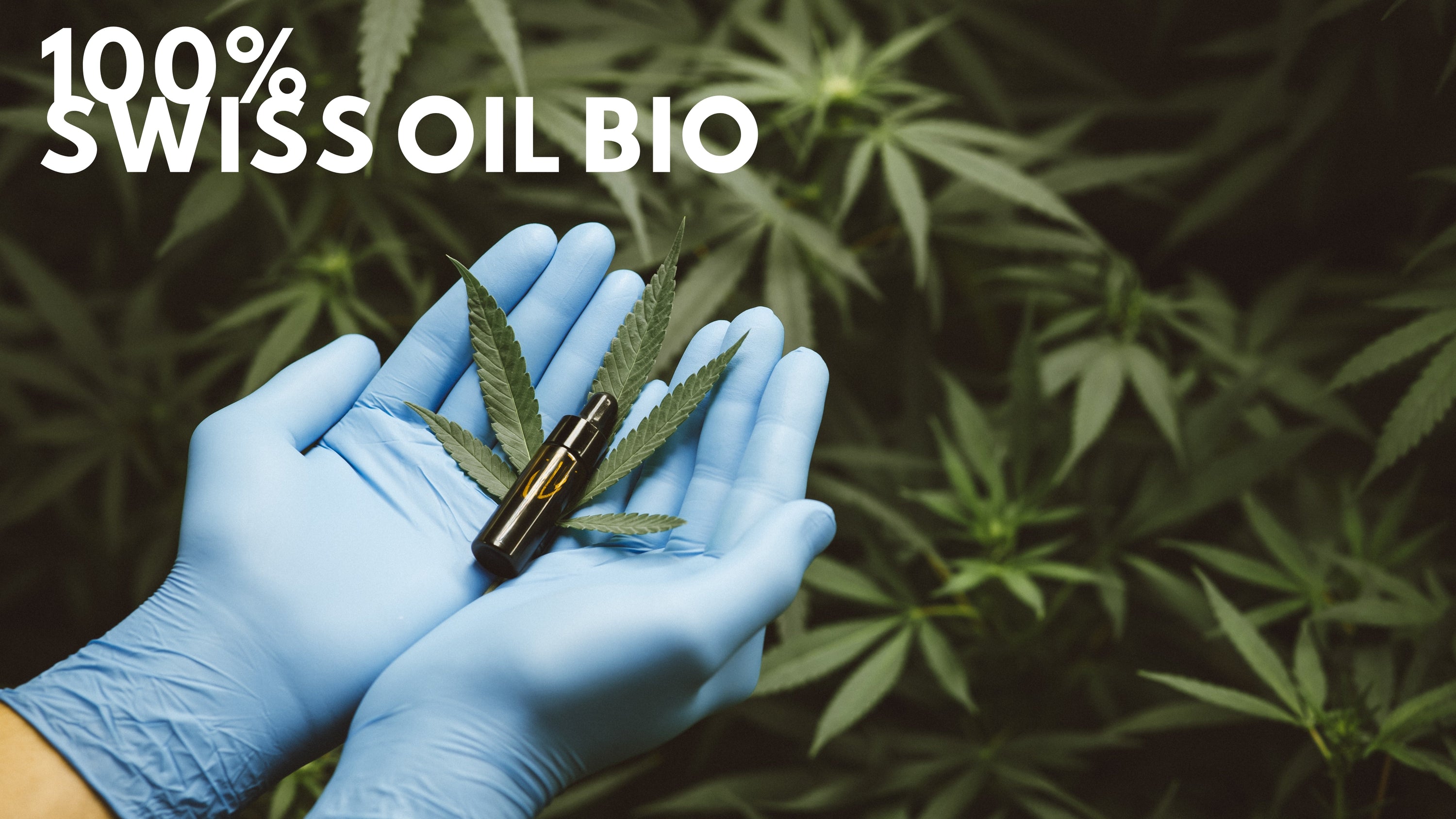 huile de cbd puissante