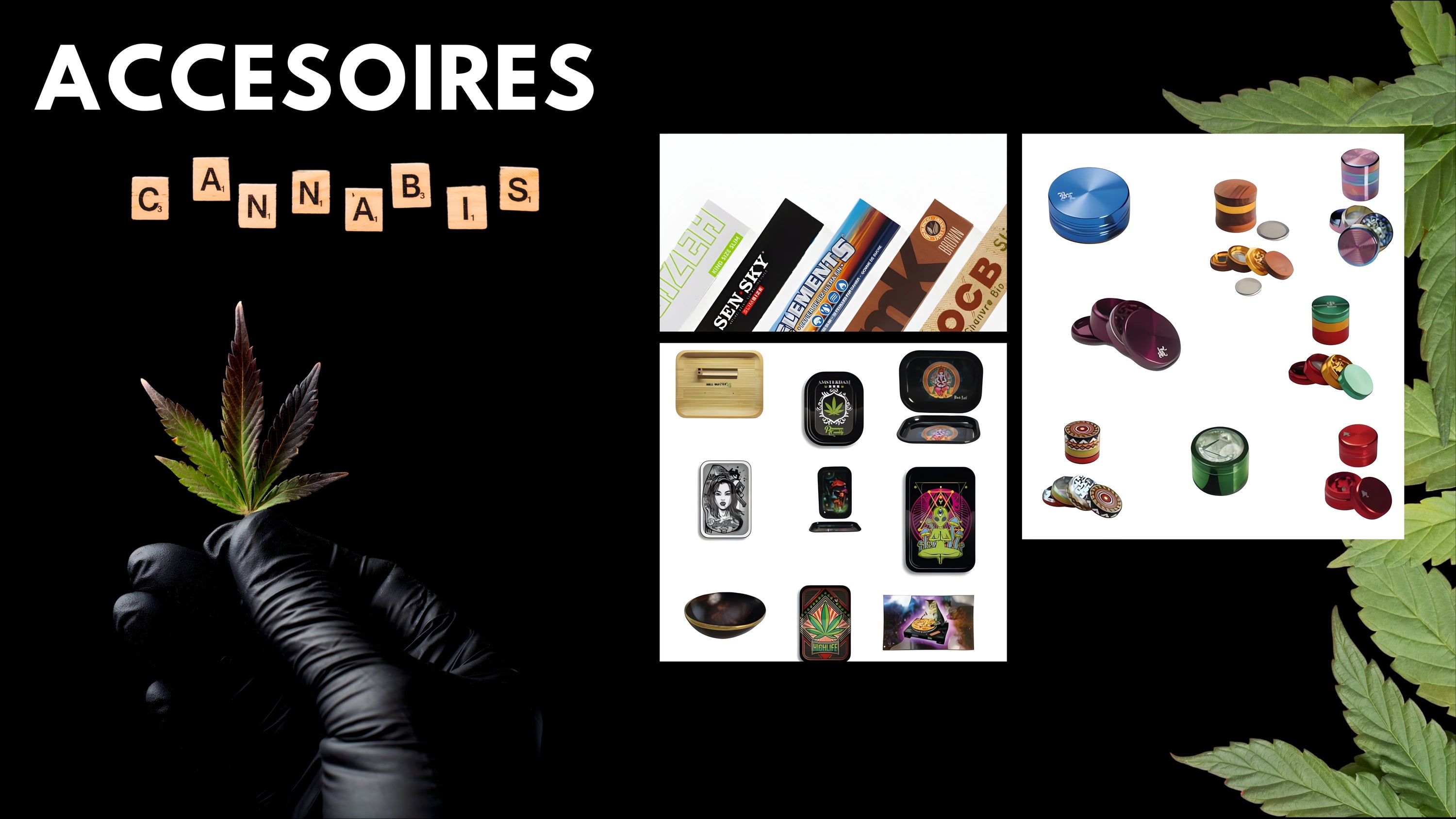 ACCESOIRES Greenchill SARL