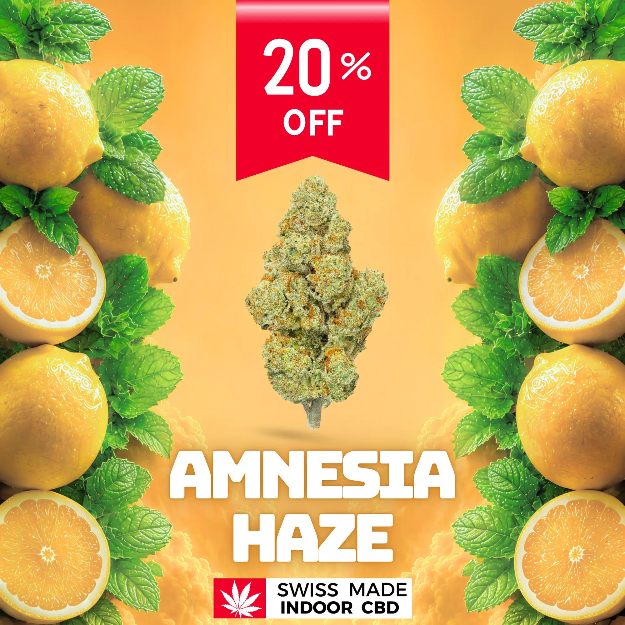 AMNESIA HAZE CBD INDOOR My Store