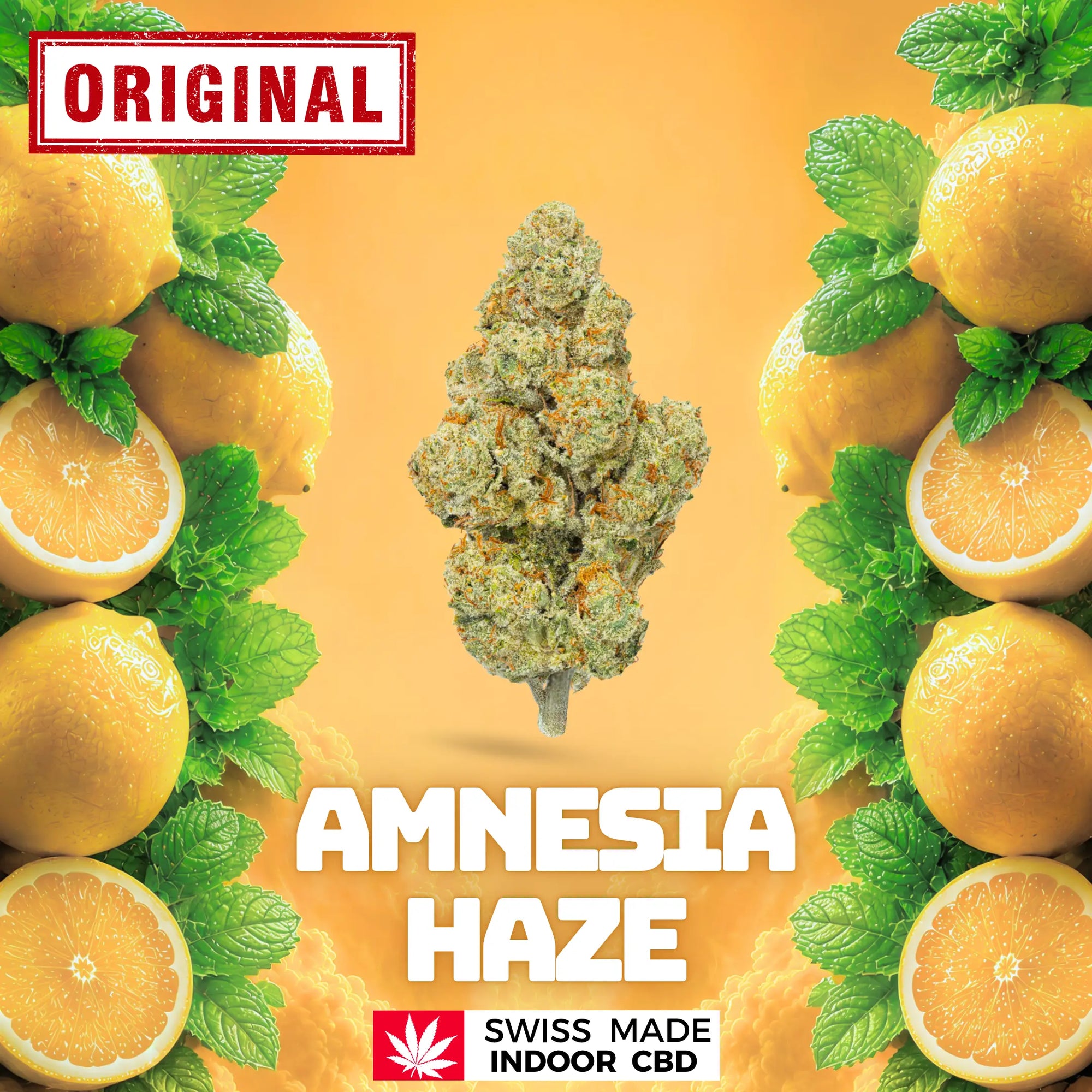 AMNESIA HAZE INDOOR CBD My Store
