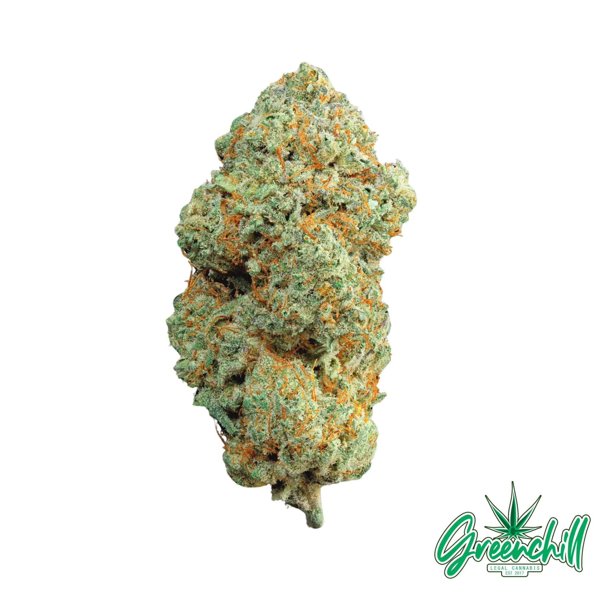 BLUE CHEESE INDOOR-suisse cbd