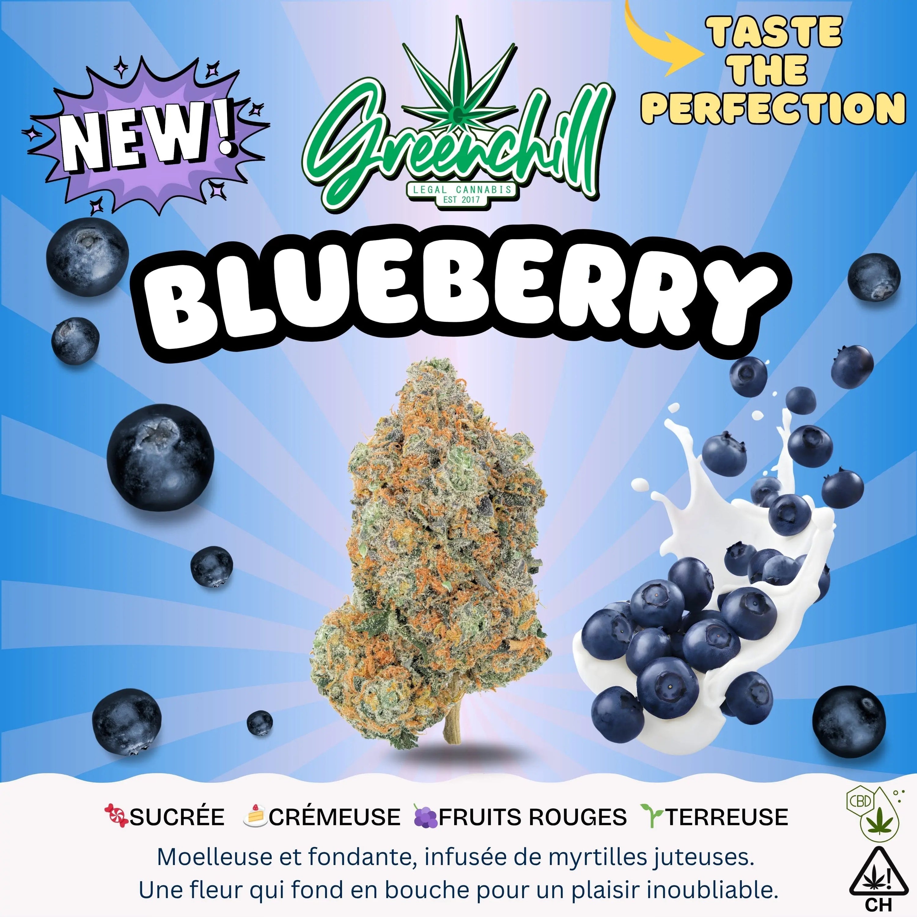 BLUEBERRY CBD INDOOR Greenchill SARL
