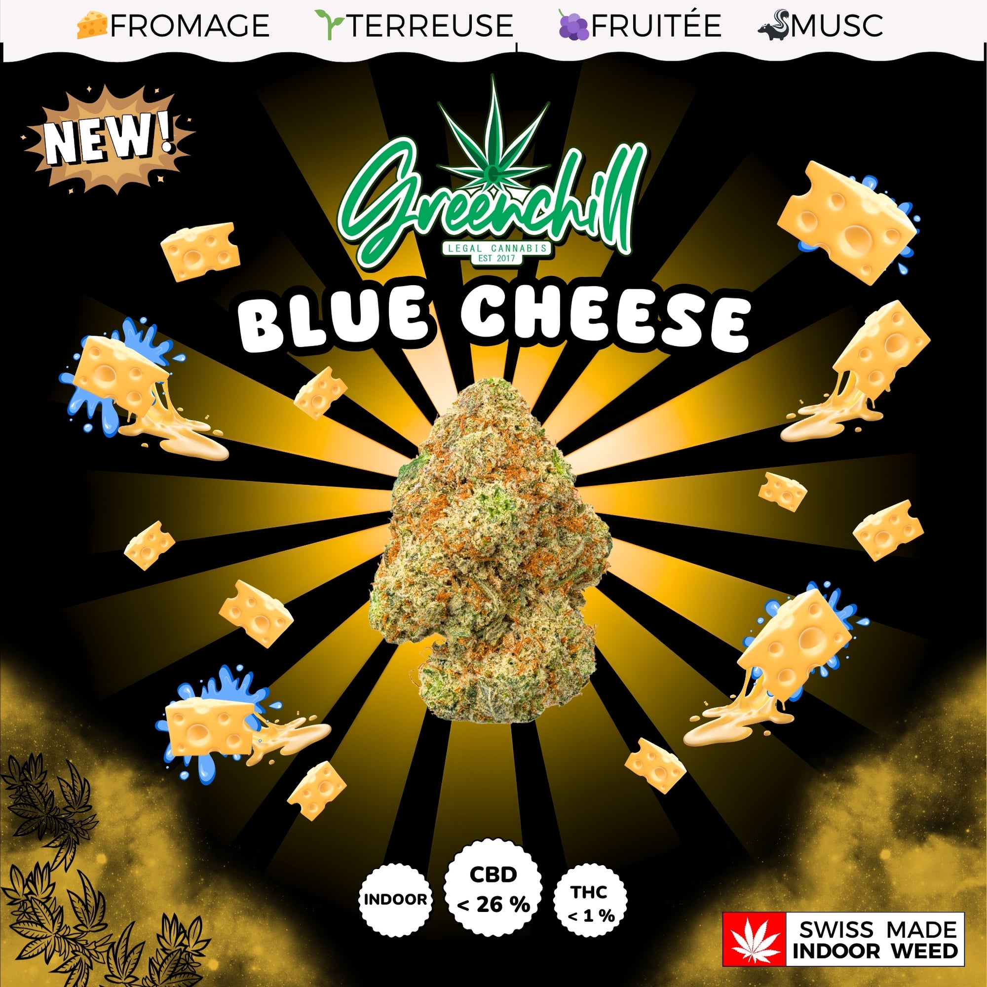 BLUE CHEESE CBD INDOOR
