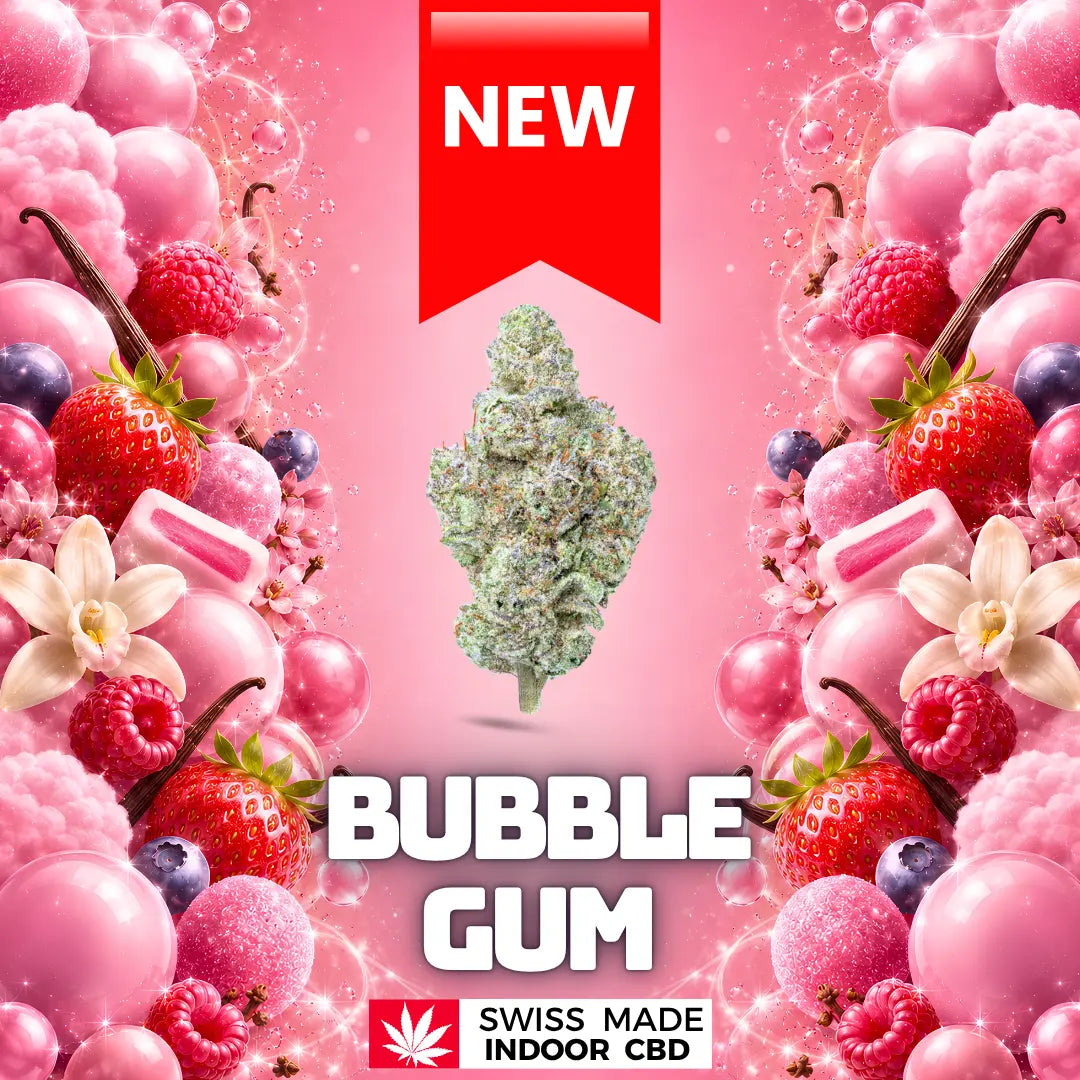 BUBBLE GUM INDOOR CBD Greenchill SARL