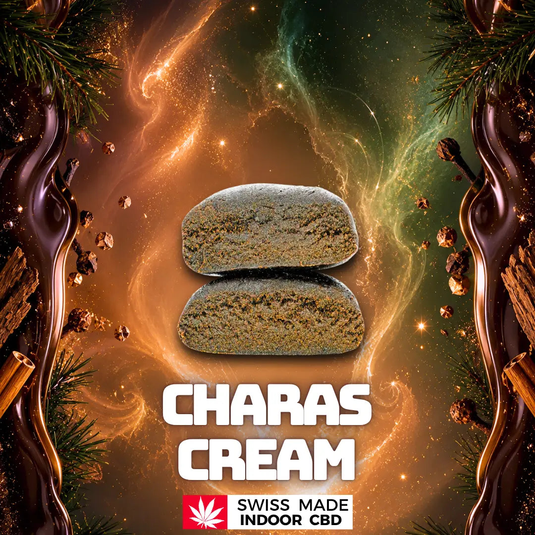 CHARAS CREAM - HASH CBD Greenchill SARL