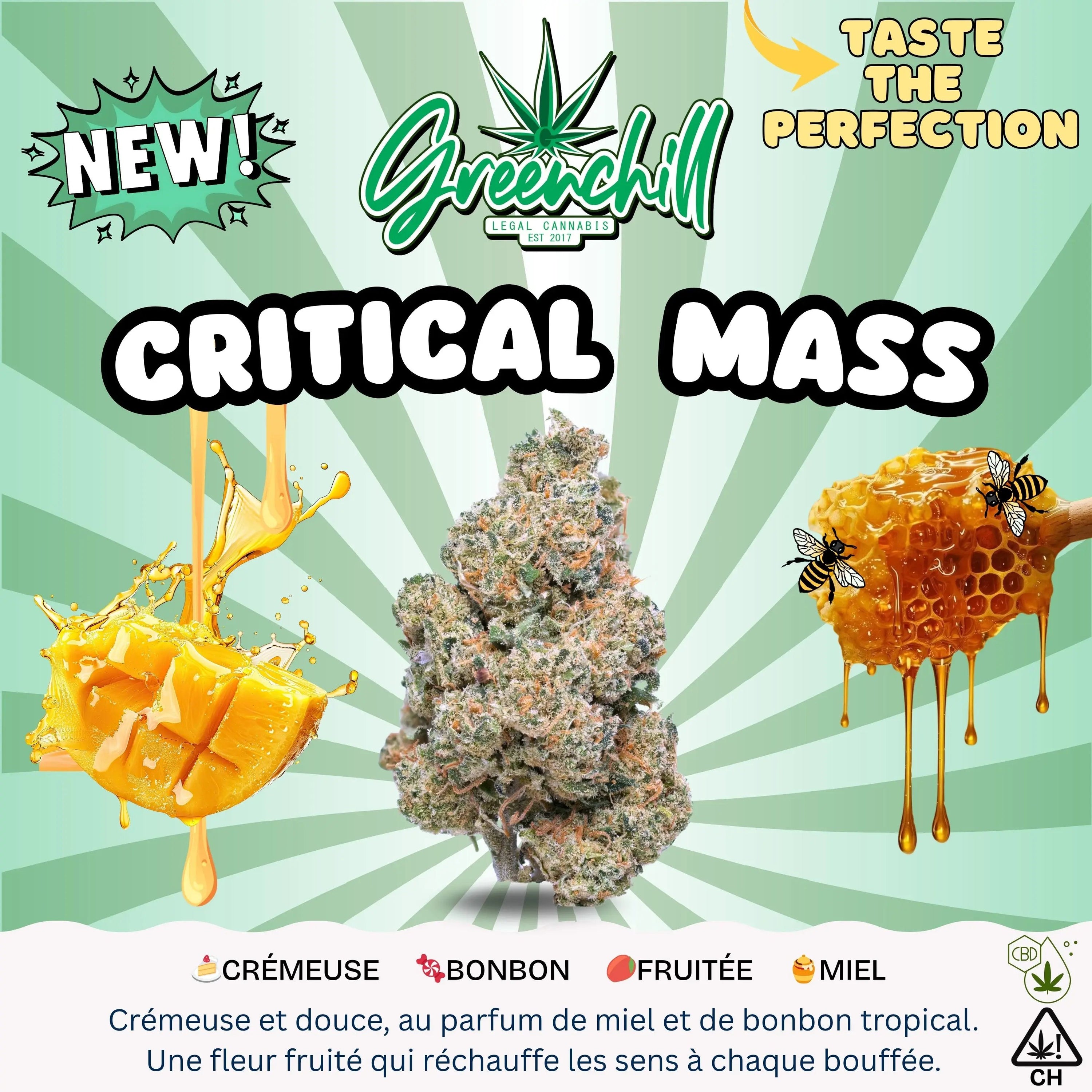 CRITICAL MASS INDOOR Greenchill SARL