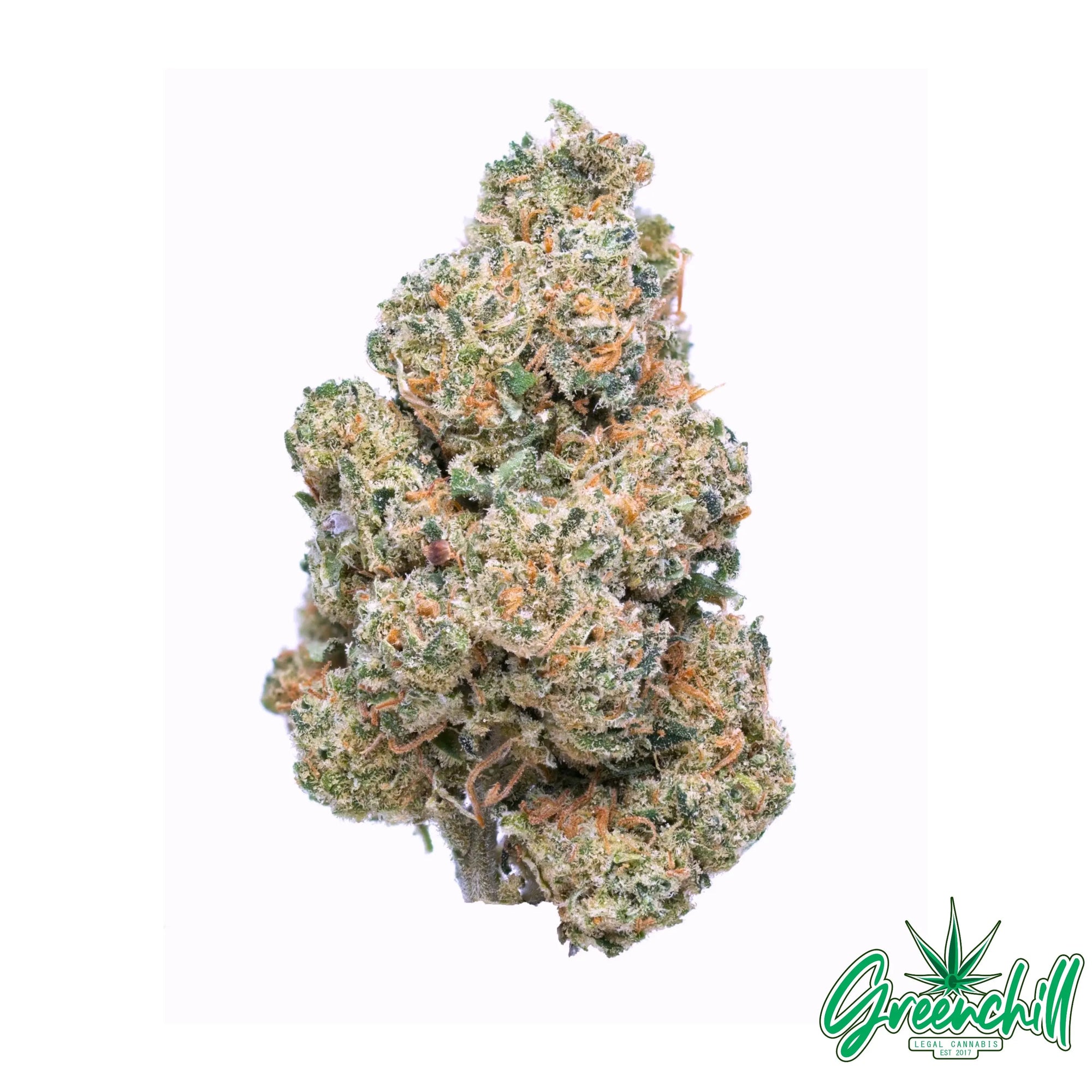 CRITICAL MASS INDOOR Greenchill SARL