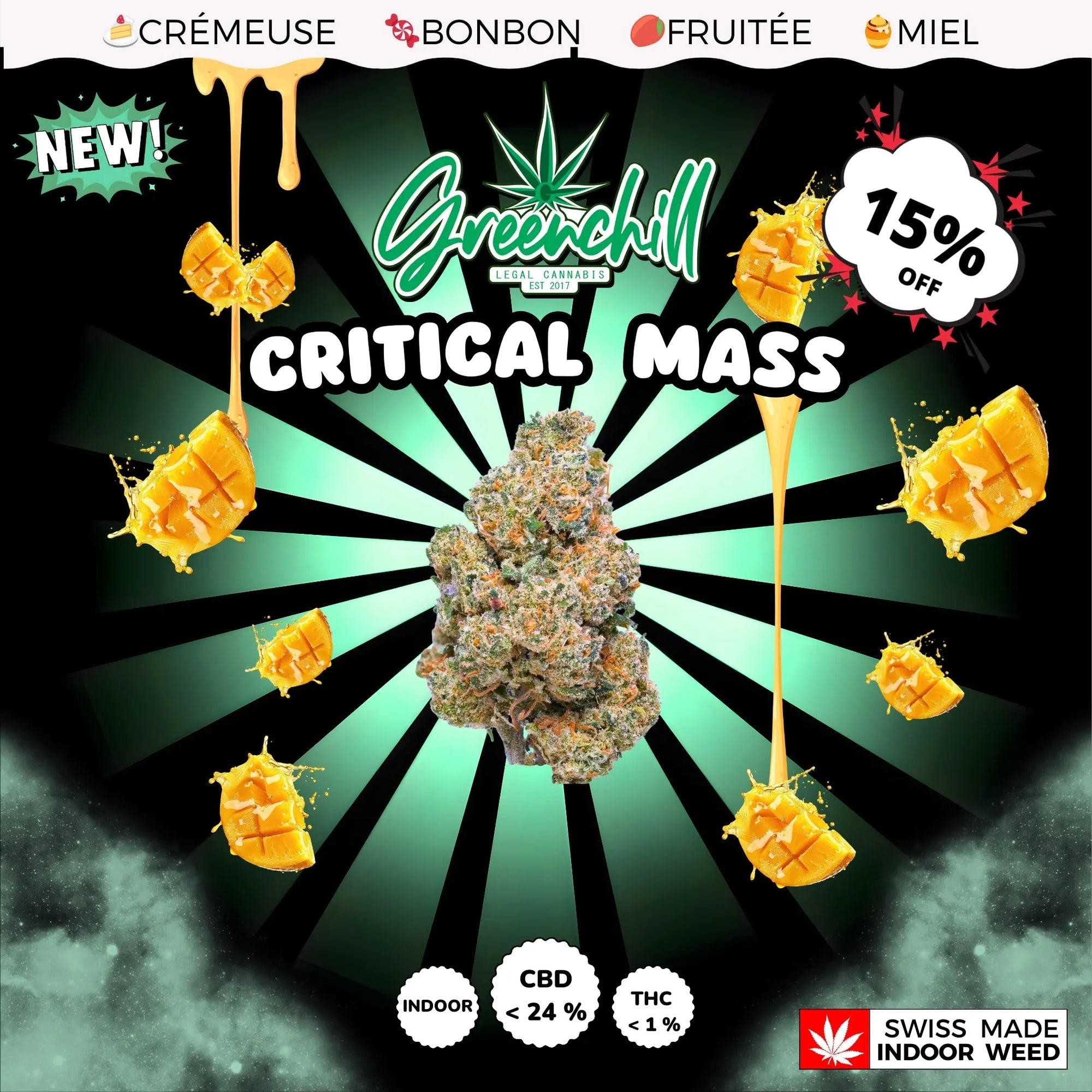 CRITICAL MASS INDOOR Greenchill SARL