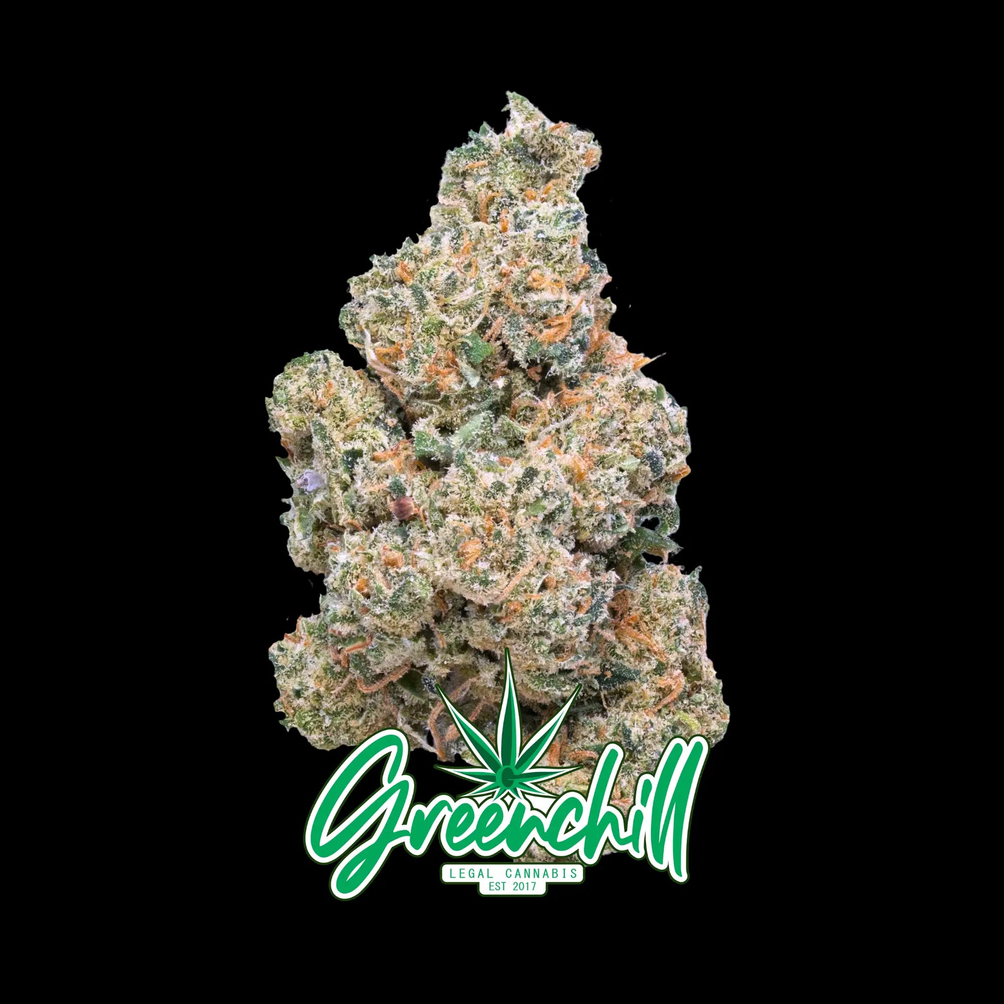 CRITICAL MASS INDOOR Greenchill SARL
