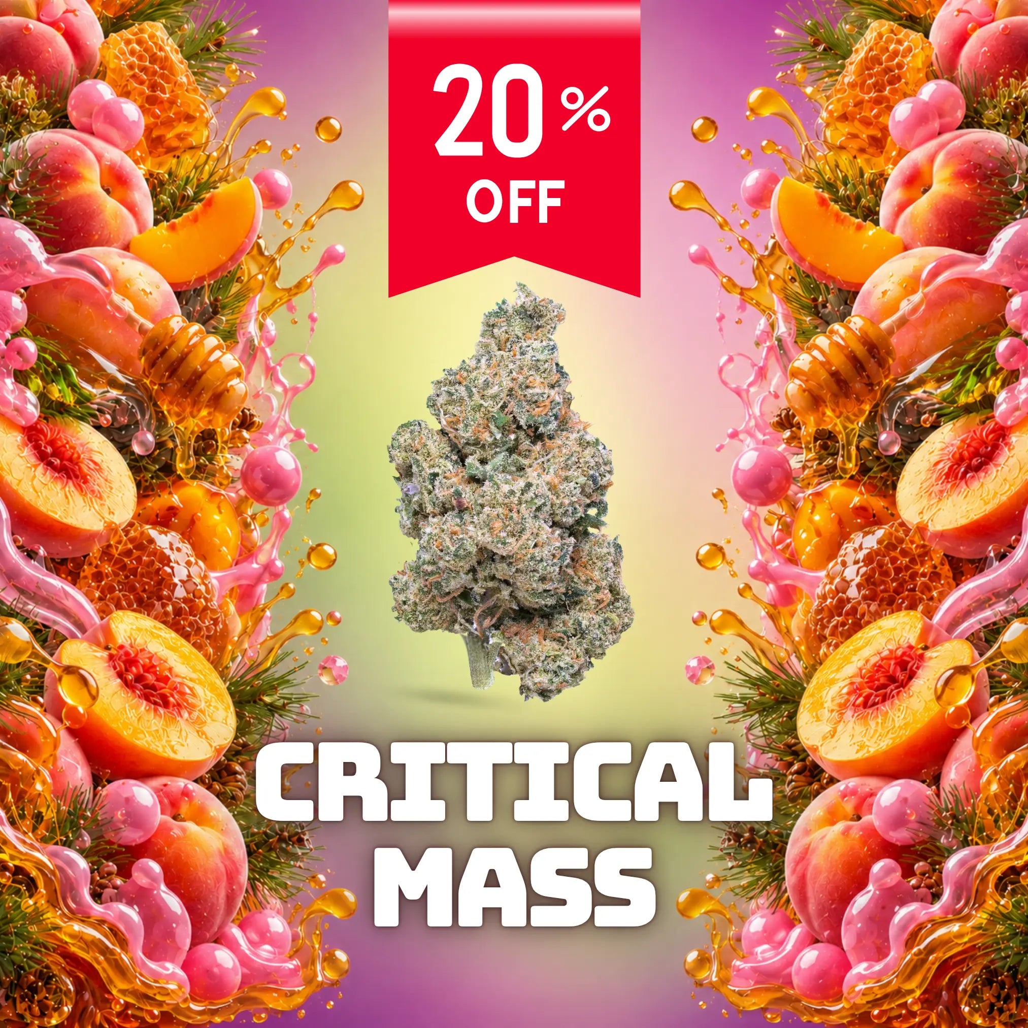 CRITICAL MASS INDOOR Greenchill SARL