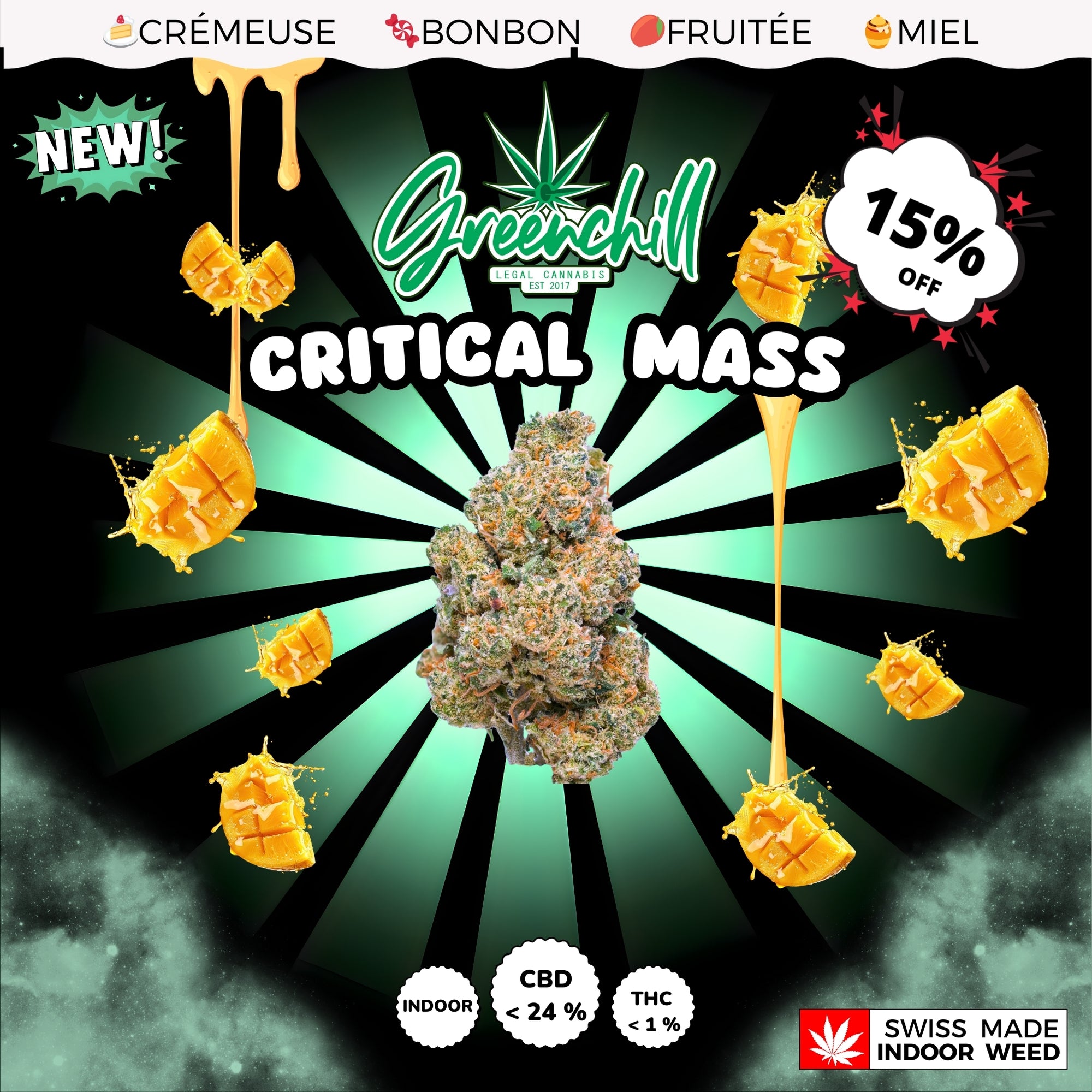 CRITICAL MASS INDOOR