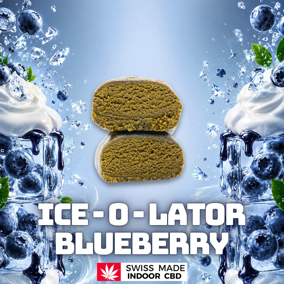 Ice o Lator Greenchill SARL