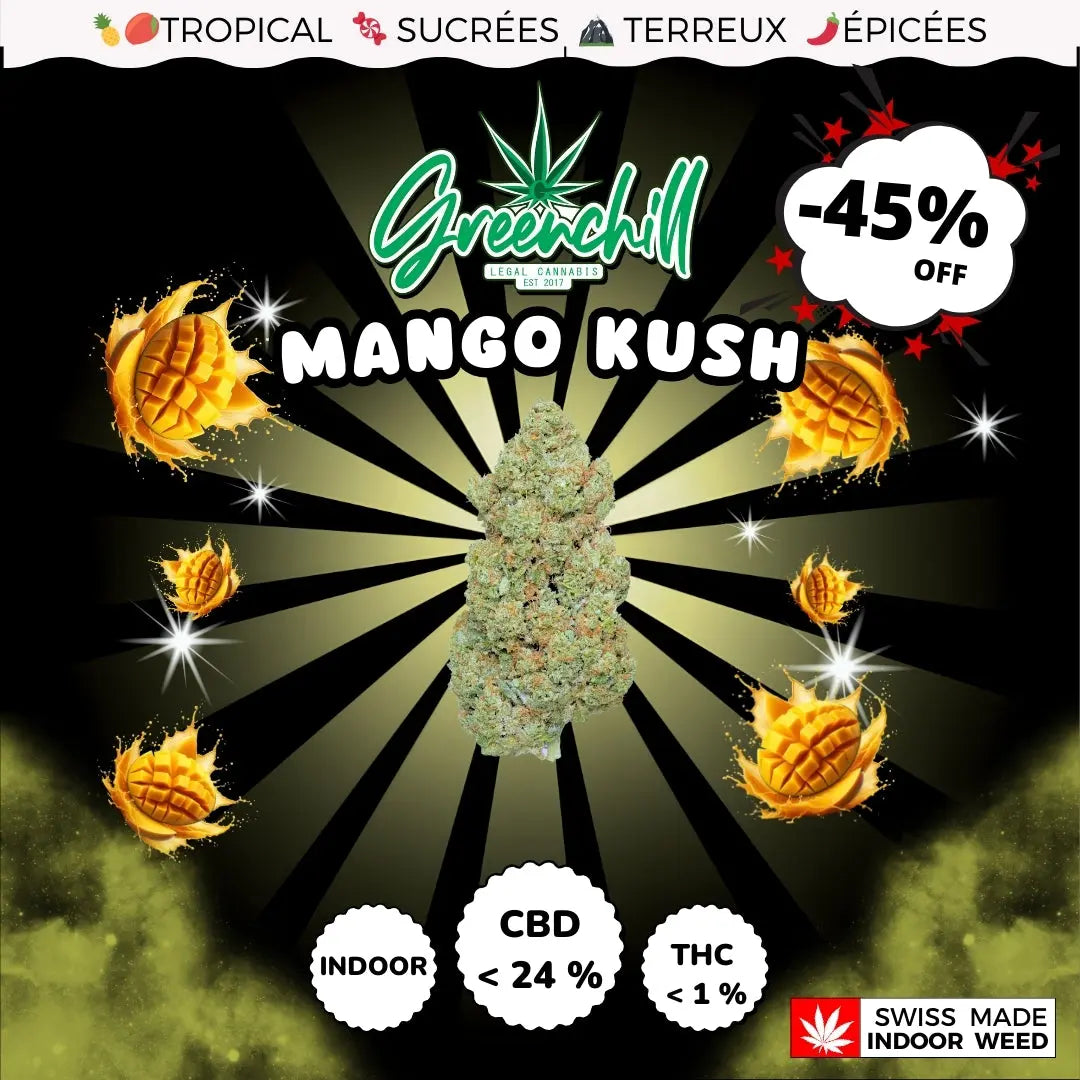 MANGO KUSH INDOOR CBD Greenchill SARL