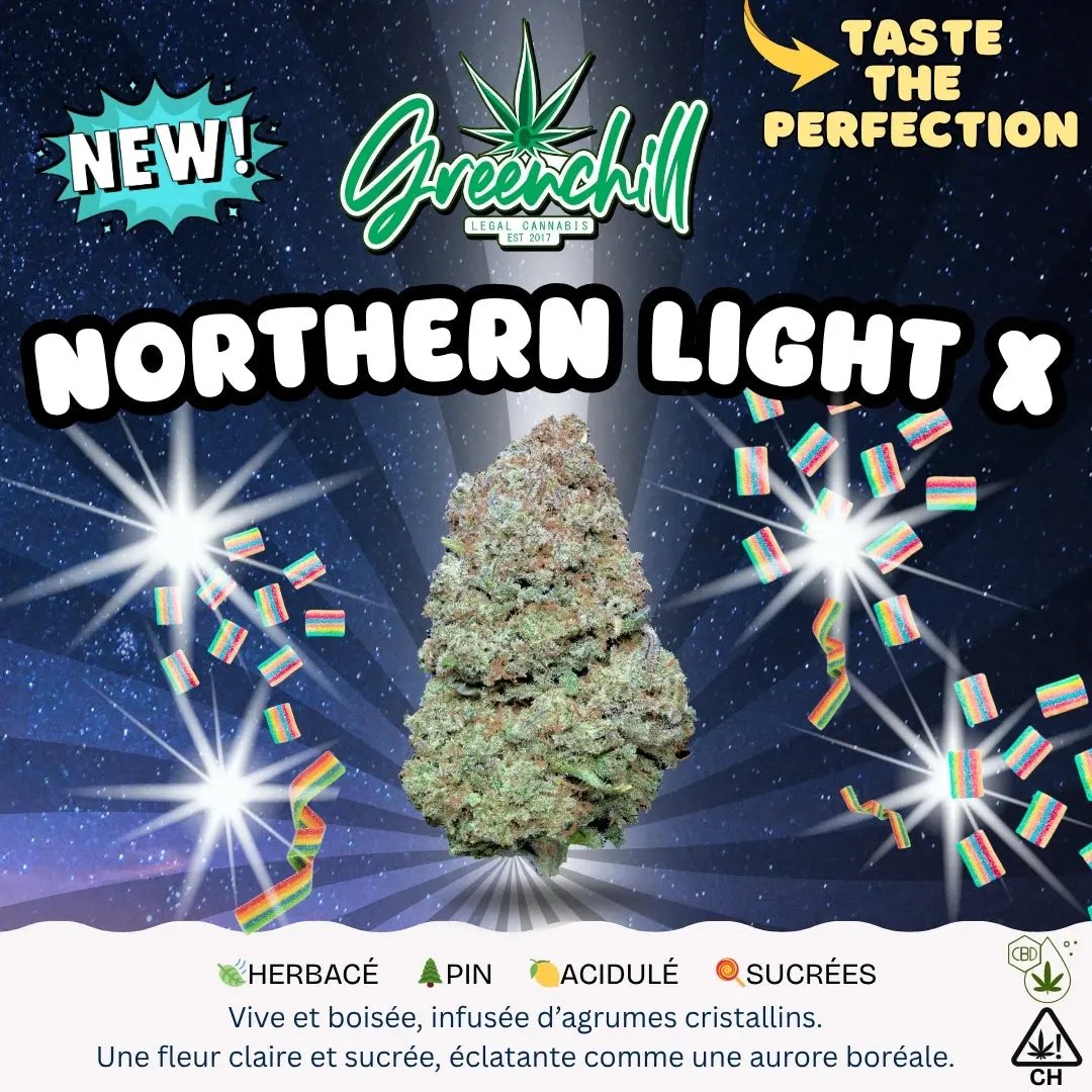 NLX - NORTHERN LIGHT X CBD INDOOR My Store