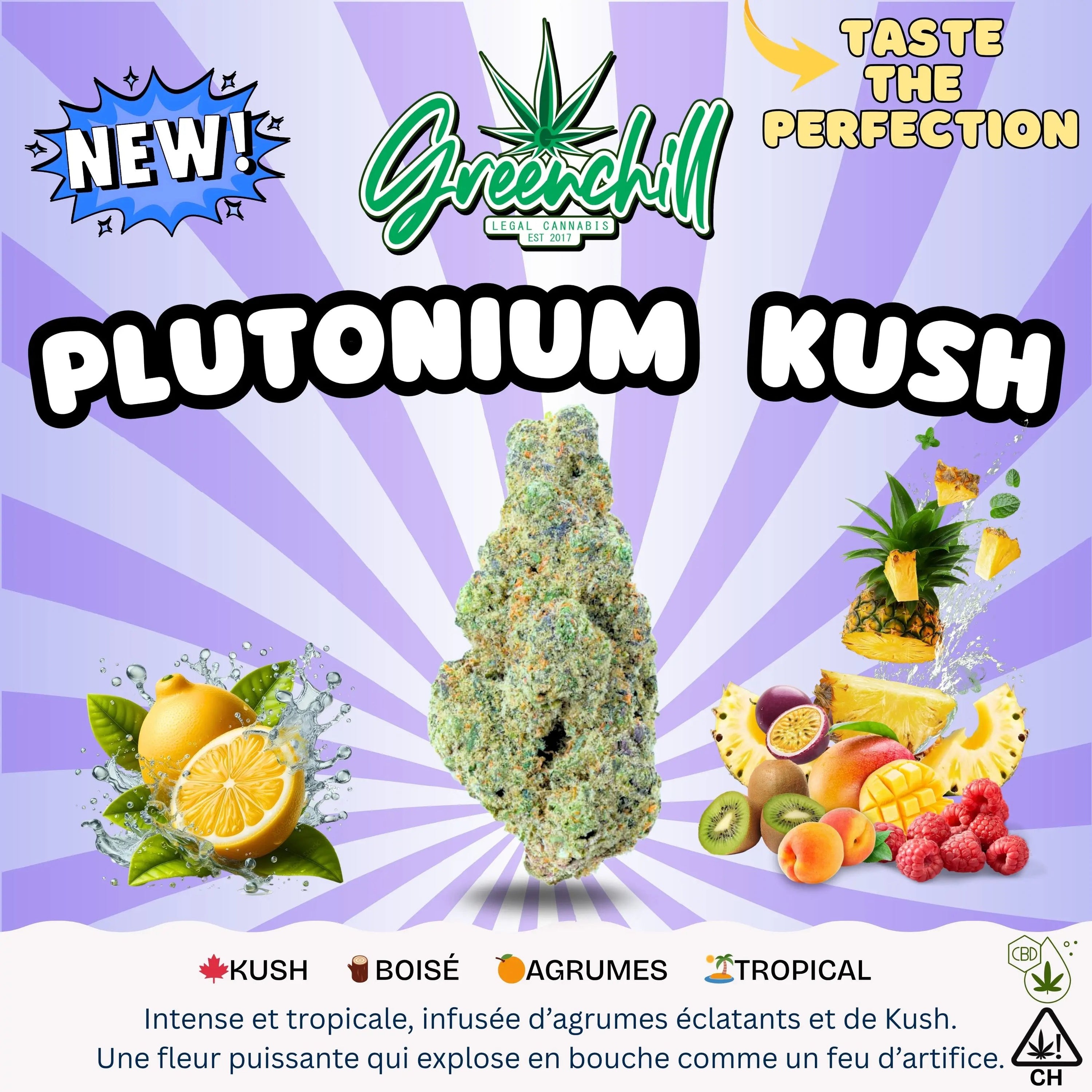 PLUTONIUM KUSH CBD INDOOR Greenchill SARL
