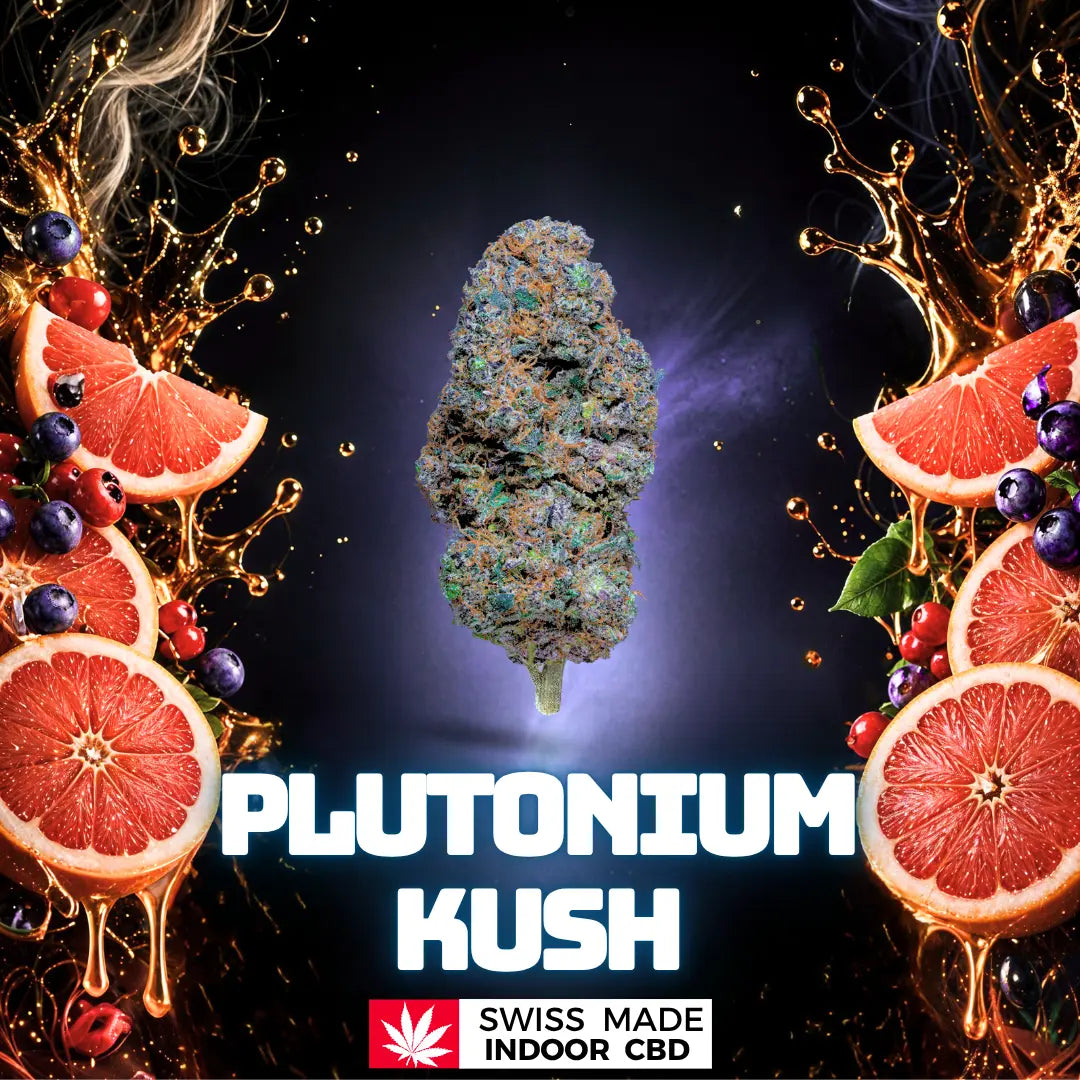 PLUTONIUM KUSH INDOOR CBD Greenchill SARL