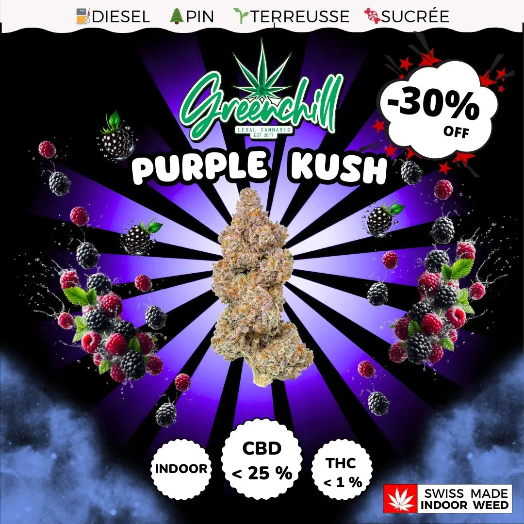 PURPLE KUSH INDOOR CBD Greenchill SARL