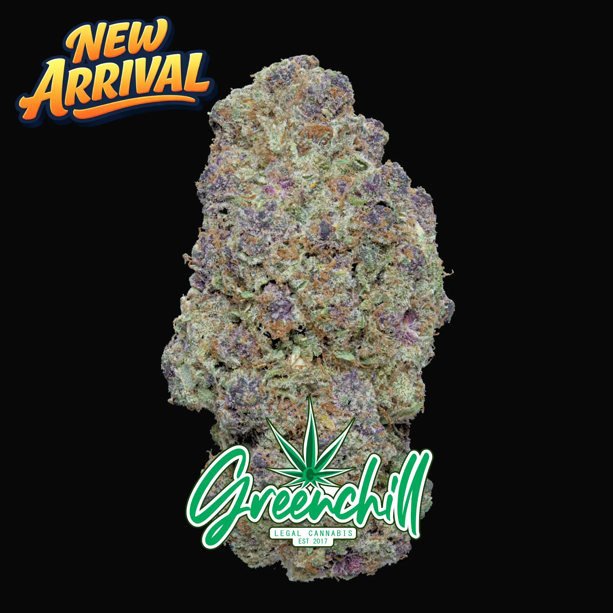 PURPLE MANGO INDOOR CBD Greenchill SARL