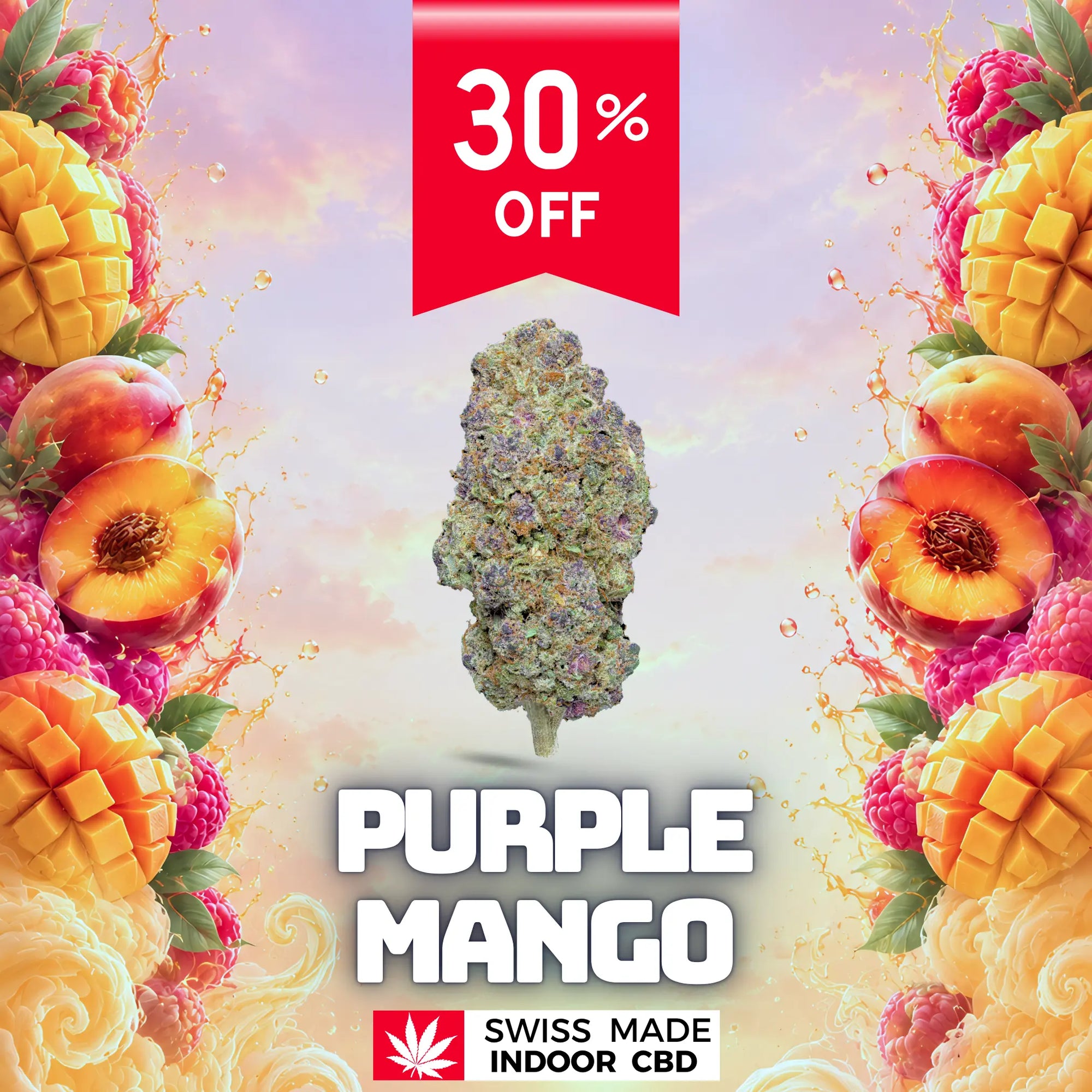 PURPLE MANGO INDOOR CBD Greenchill SARL