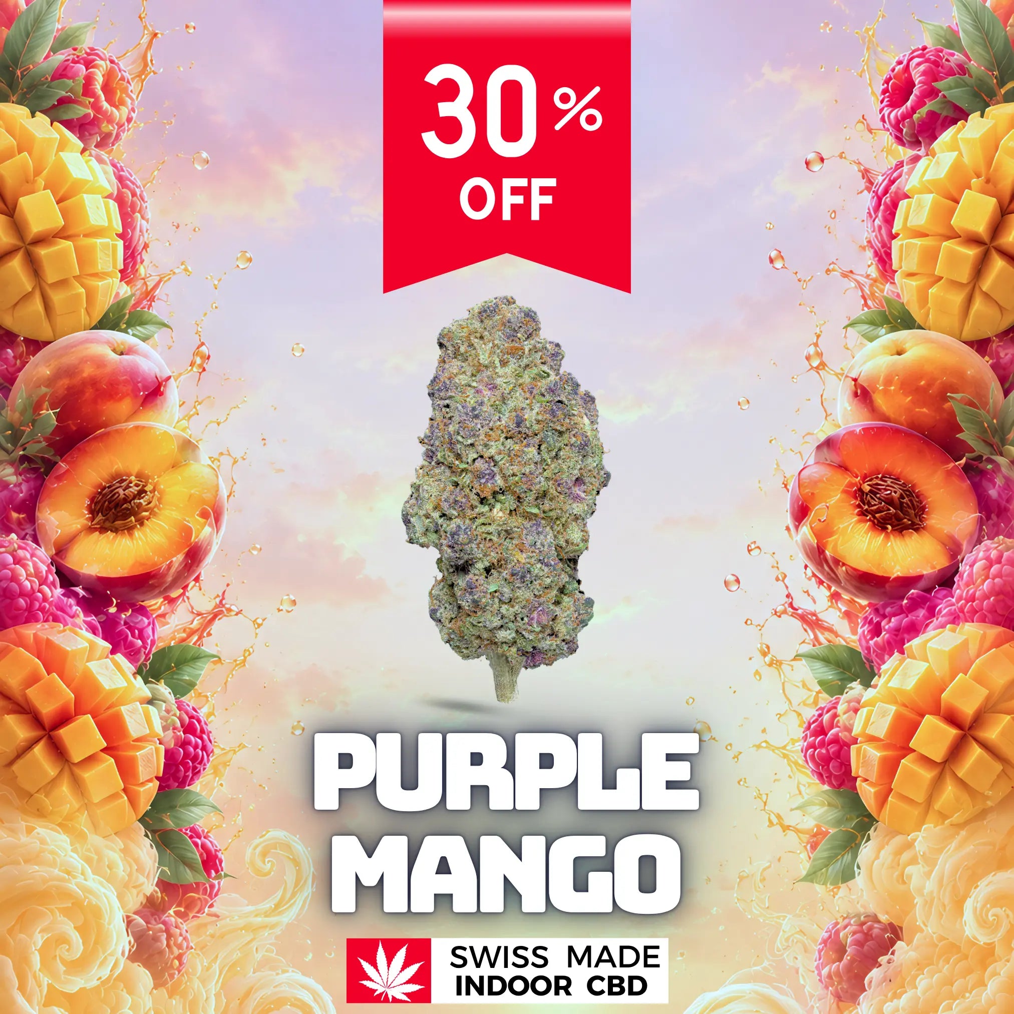 PURPLE MANGO INDOOR CBD Greenchill SARL