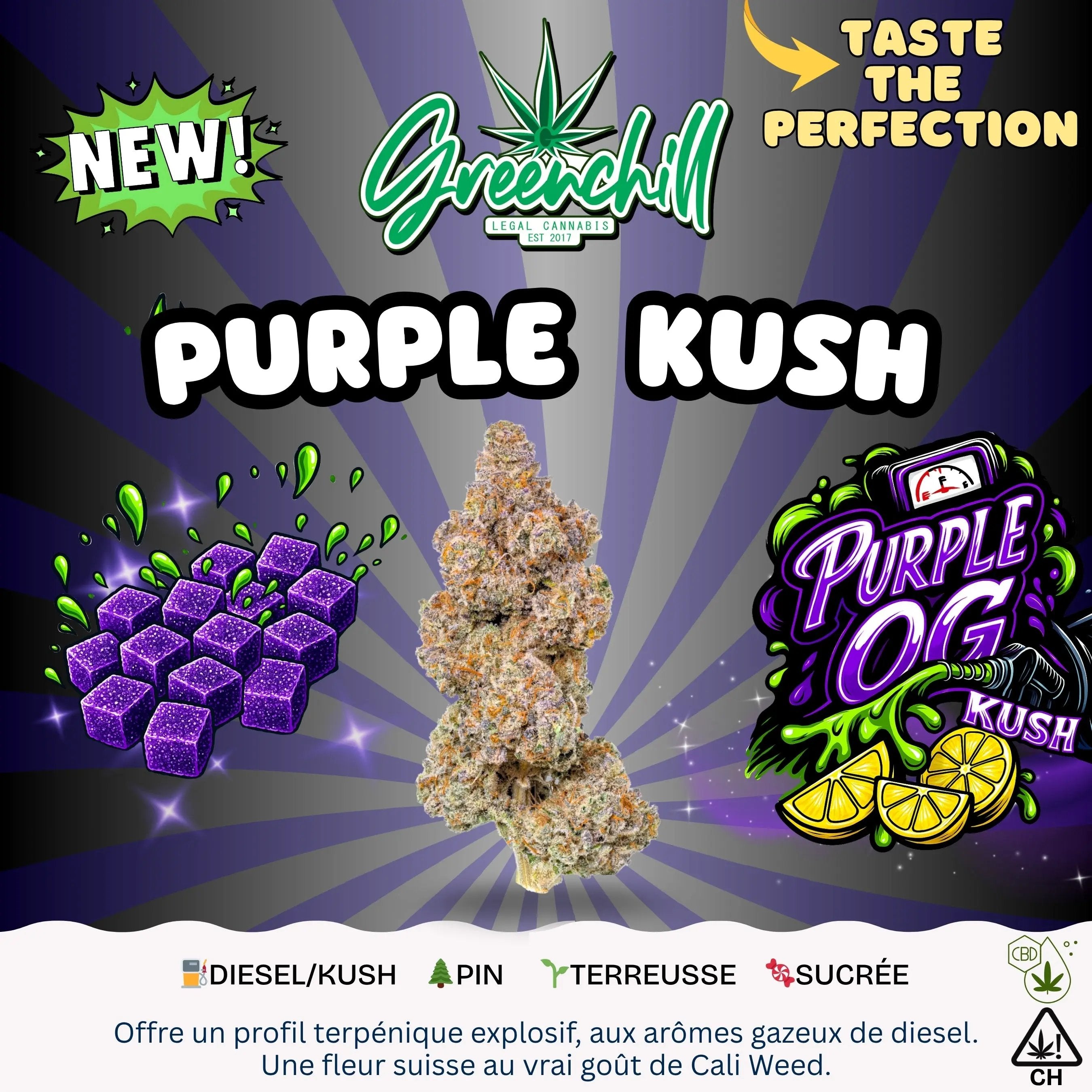 PURPLE OG KUSH INDOOR CBD Greenchill SARL