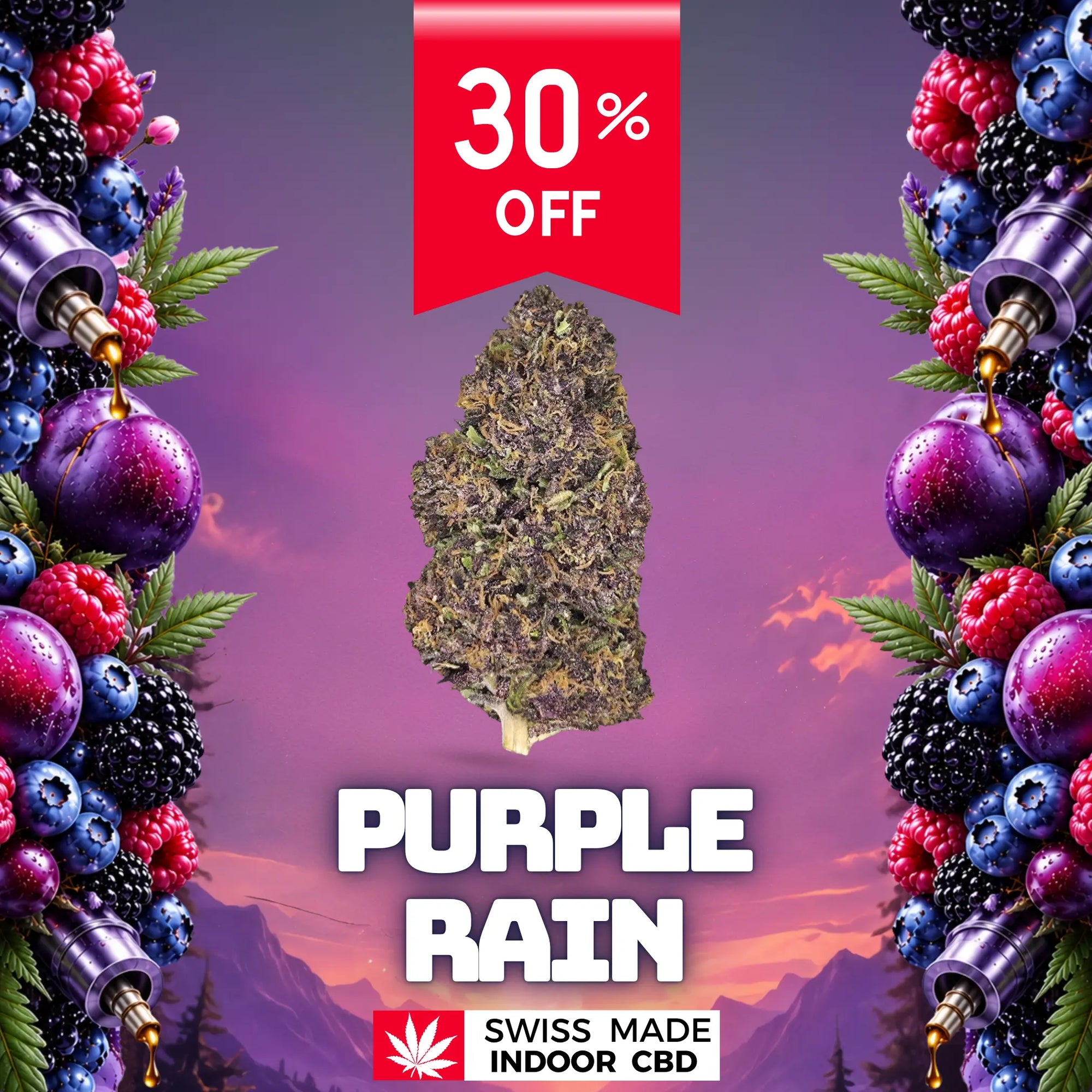 PURPLE RAIN Glasshouse Led CBD Greenchill SARL