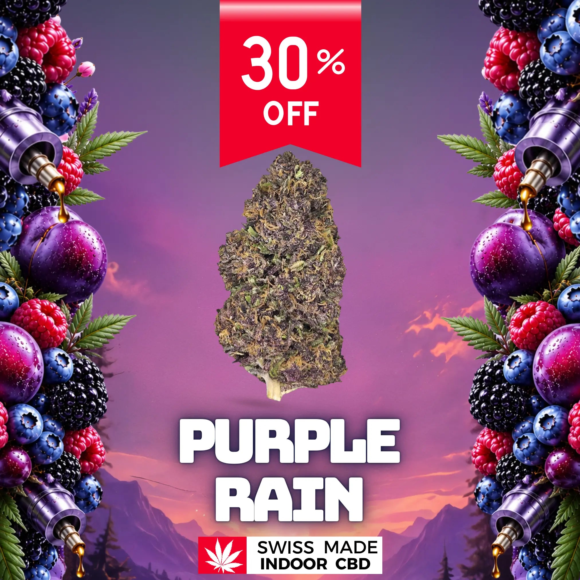 PURPLE RAIN Glasshouse Led CBD Greenchill SARL