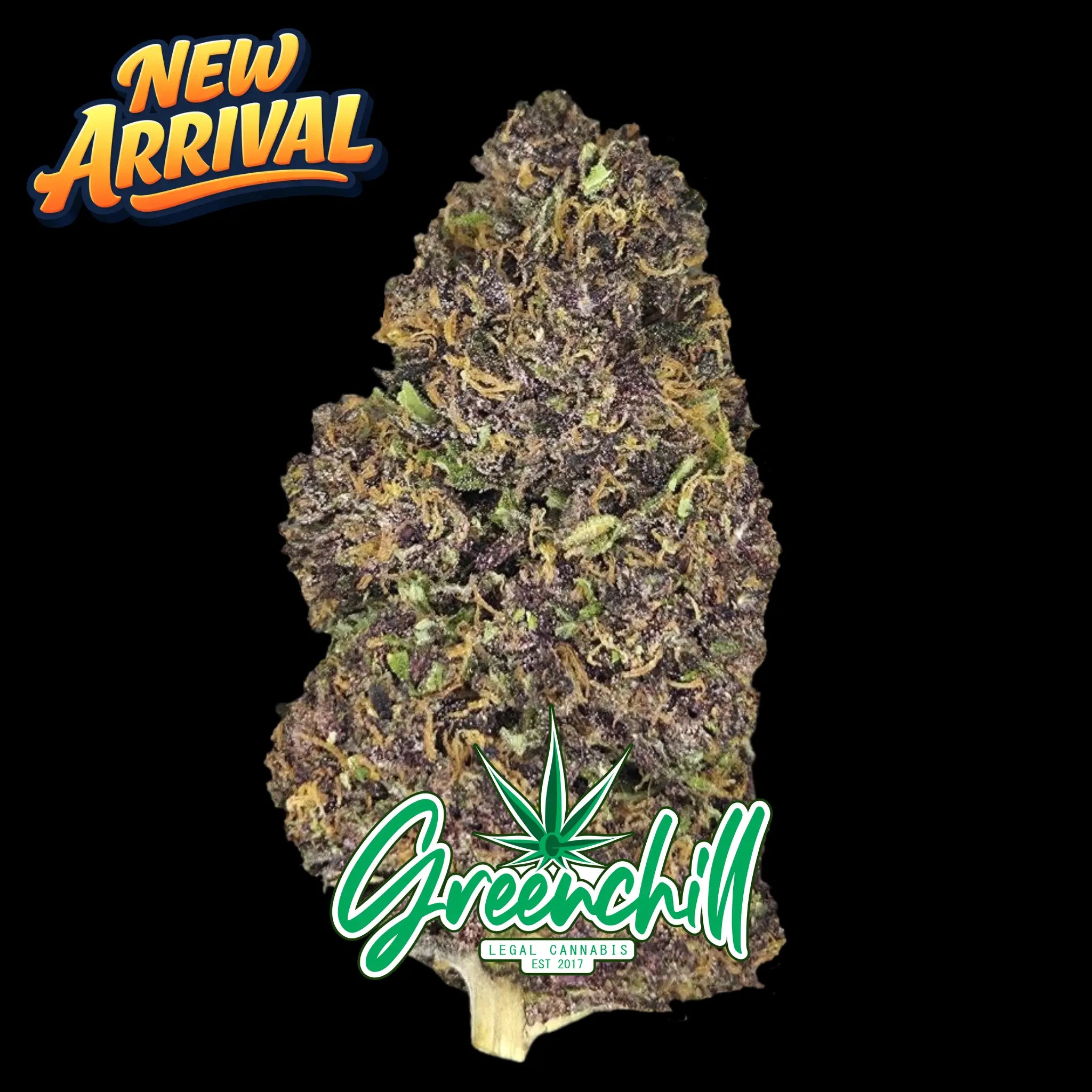 PURPLE RAIN INDOOR HYBRID CBD Greenchill SARL